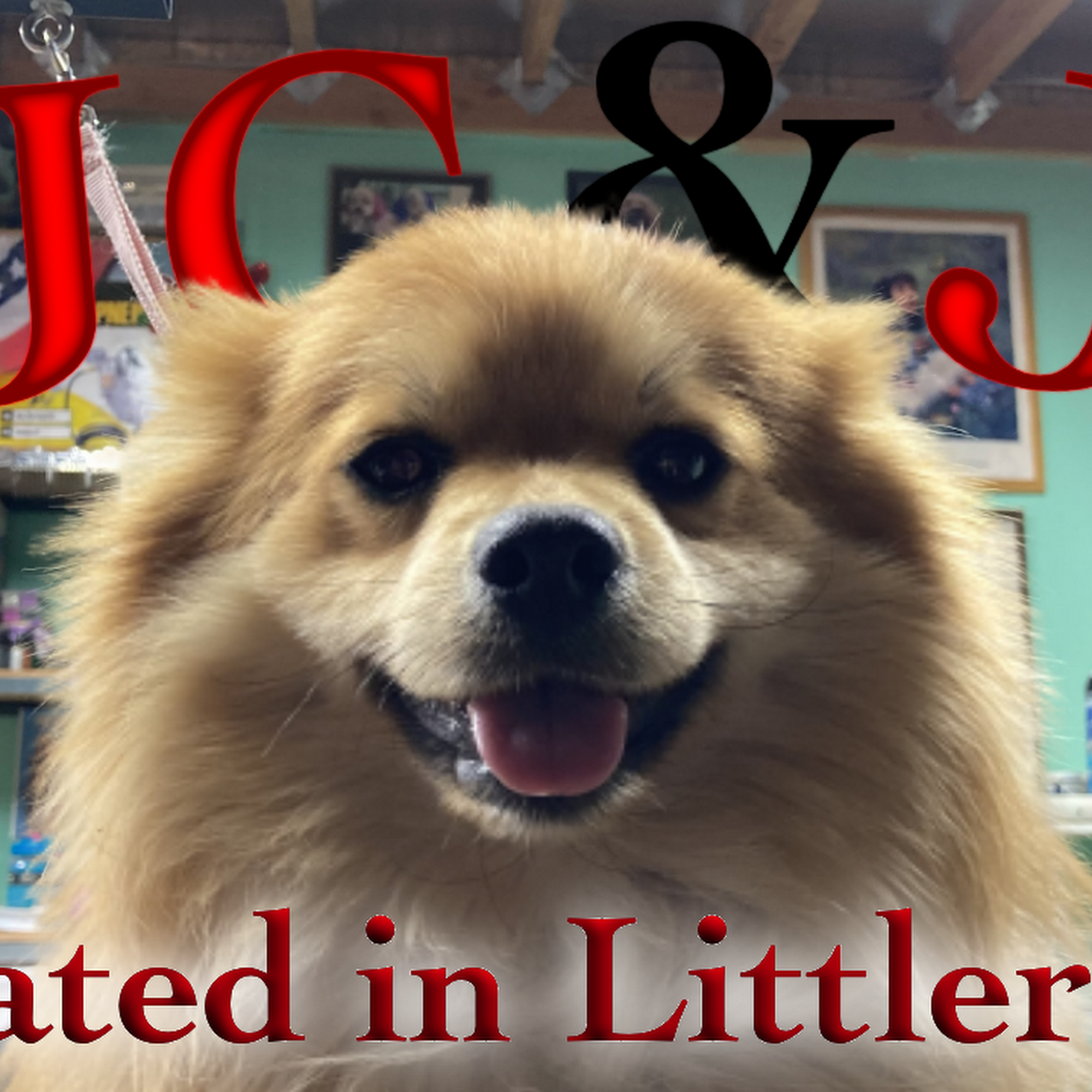 JC&J PETS R US Littlerock