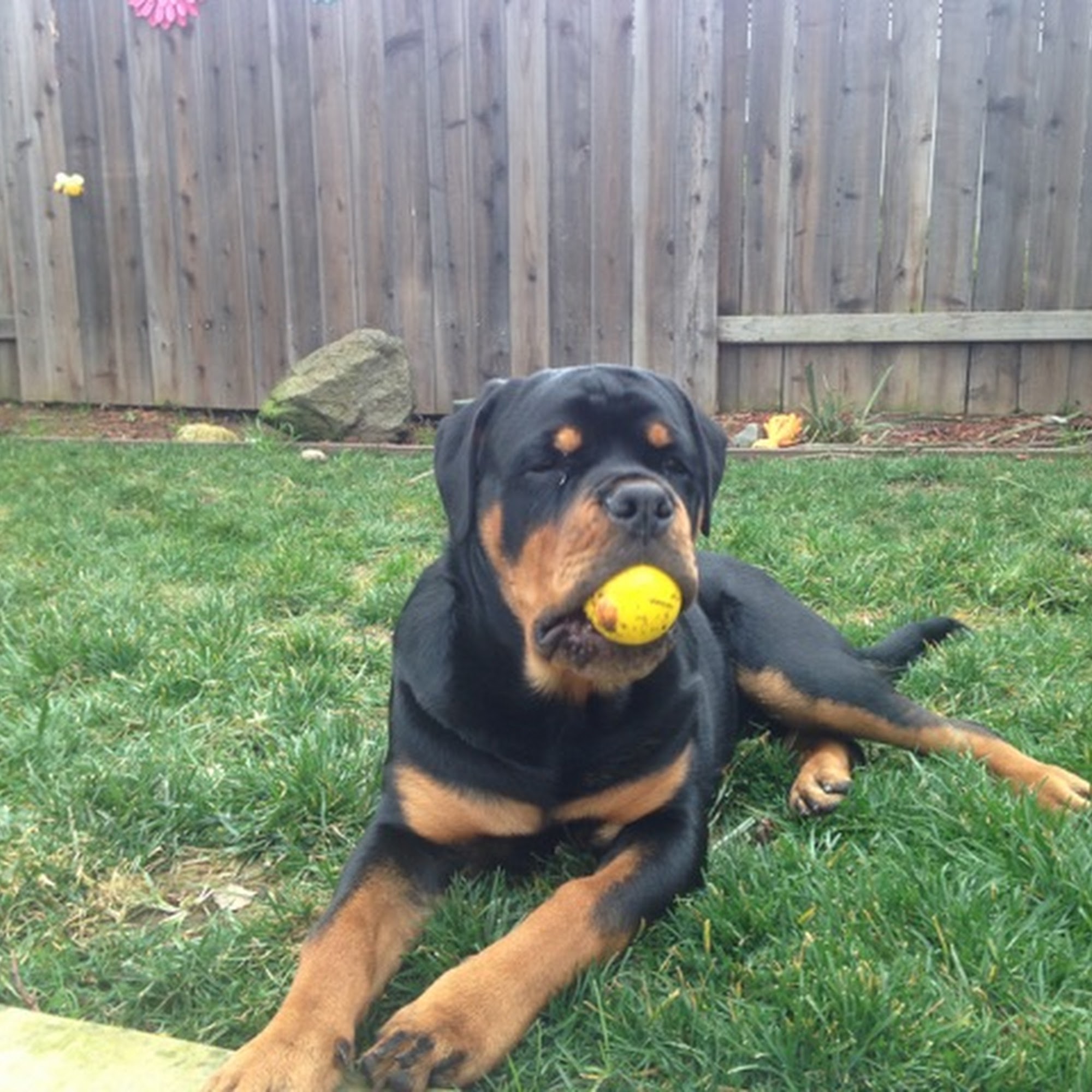 Country Vet Clinic - Jerry D. Long, DVM Live Oak