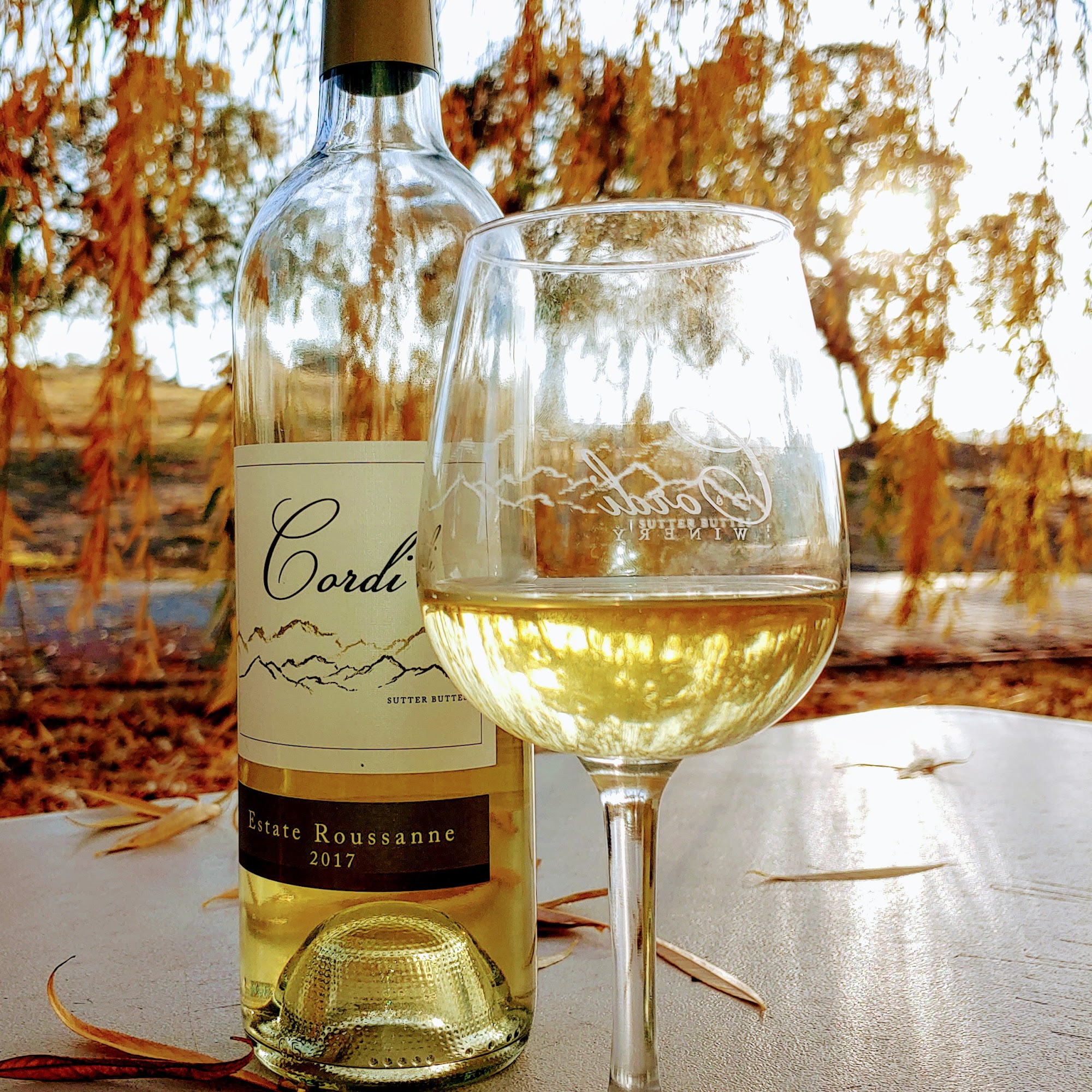 Cordi Winery Live Oak