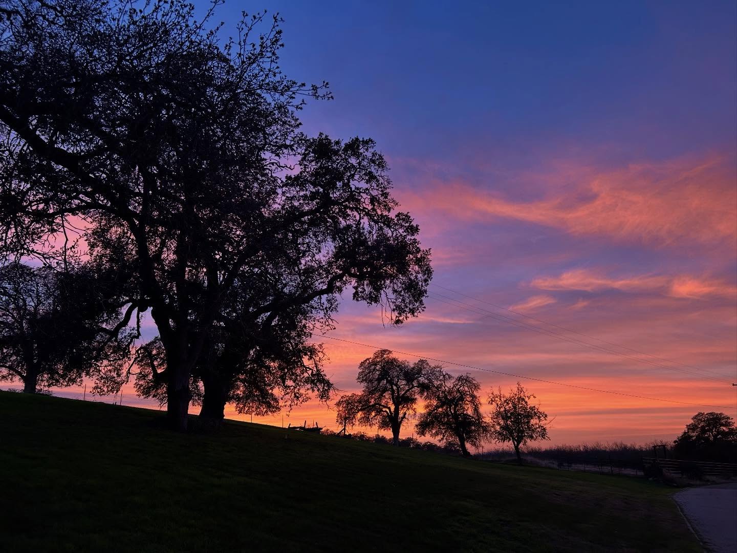 Cordi Winery Live Oak