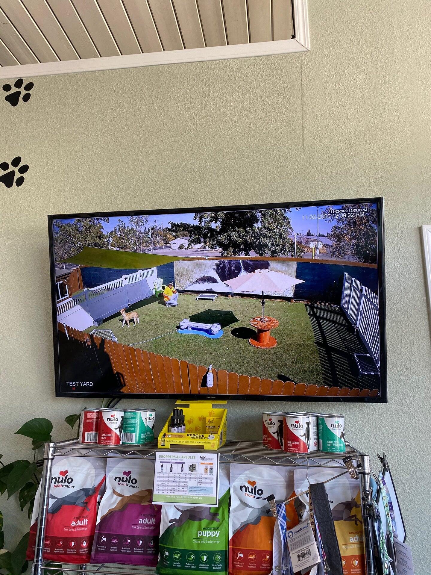 BratPak Dog Kamp Livermore