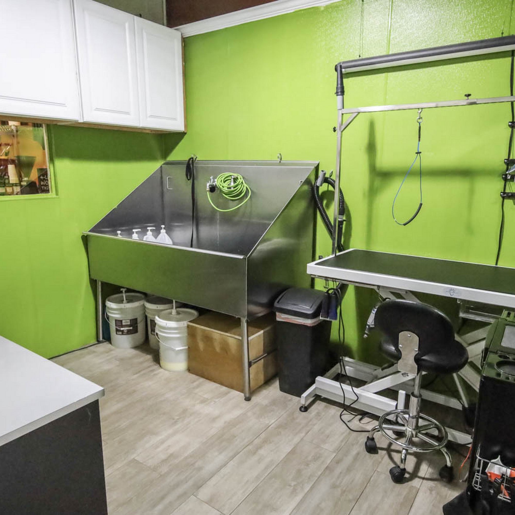 BratPak Dog Kamp Livermore