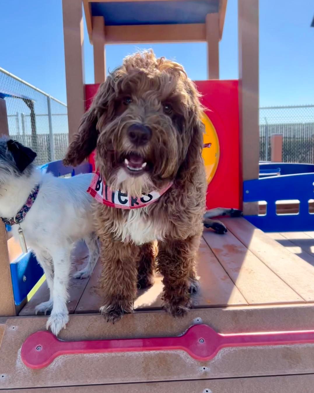 The Ranch Pet Resort & Spa Livermore