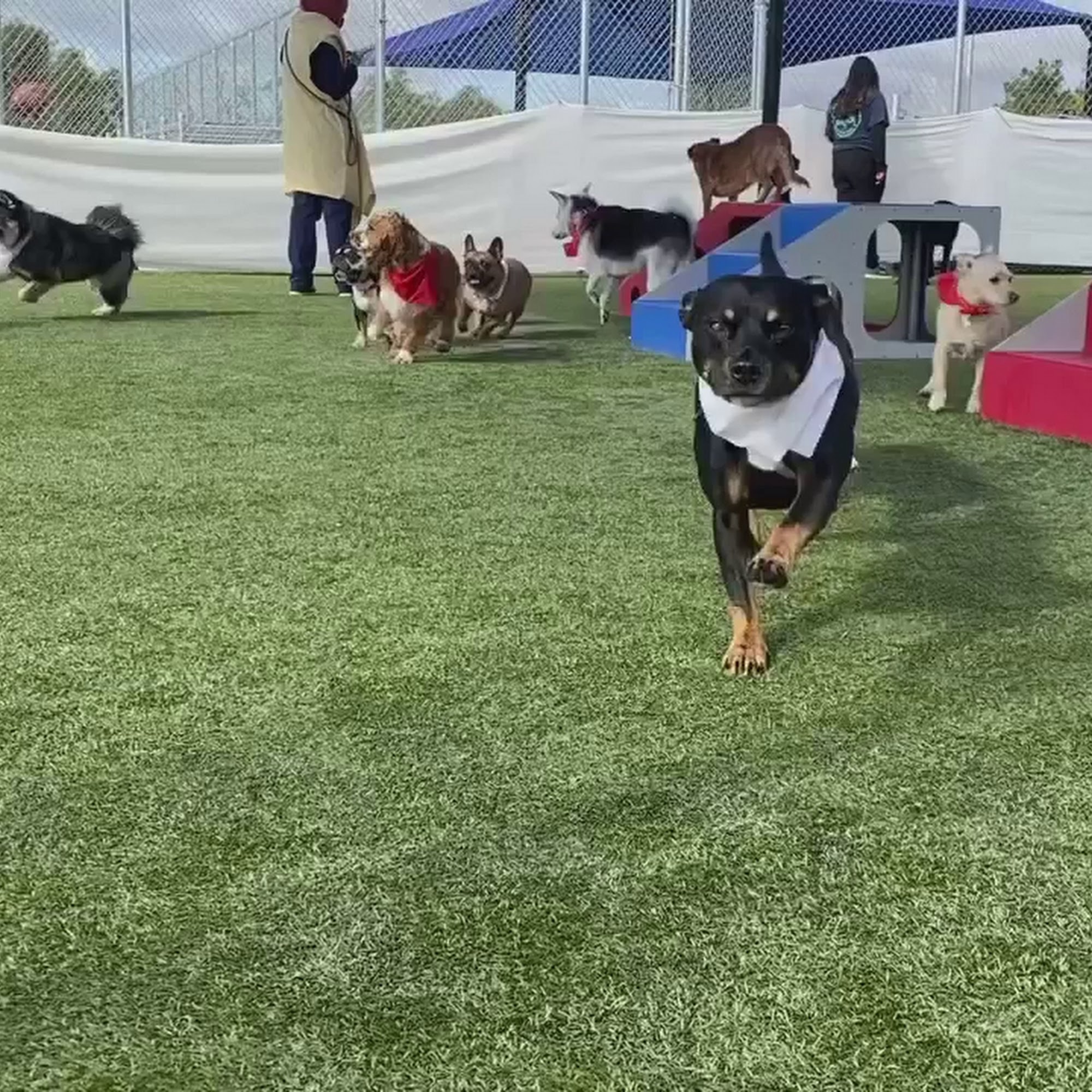 The Ranch Pet Resort & Spa Livermore