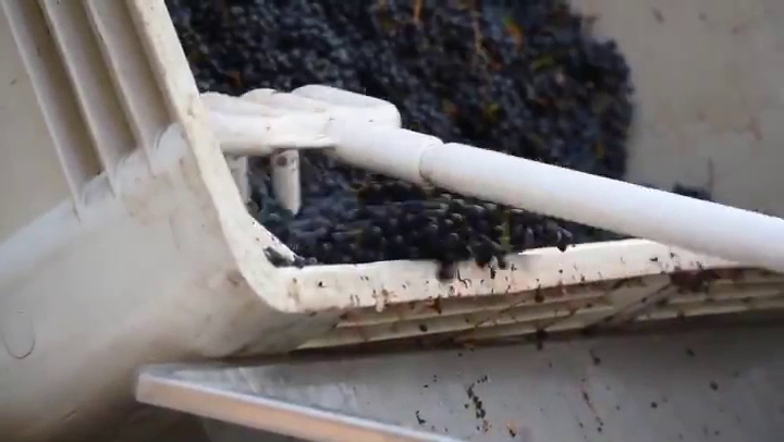 McGrail Vineyards and Winery Livermore