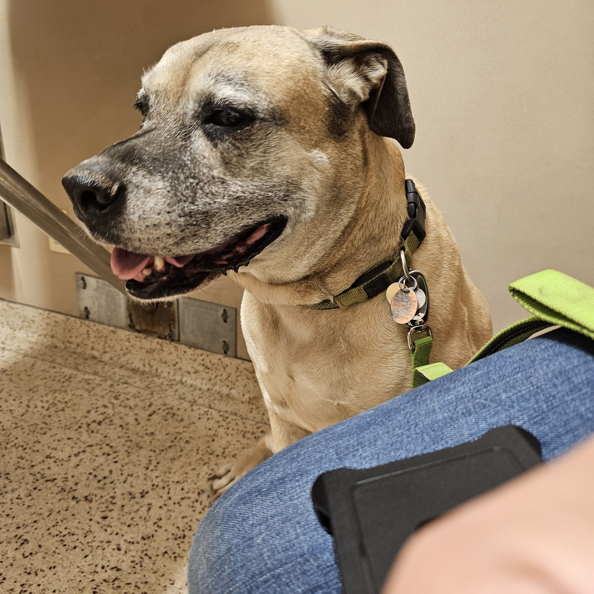 Mokelumne River Veterinary Services Lockeford