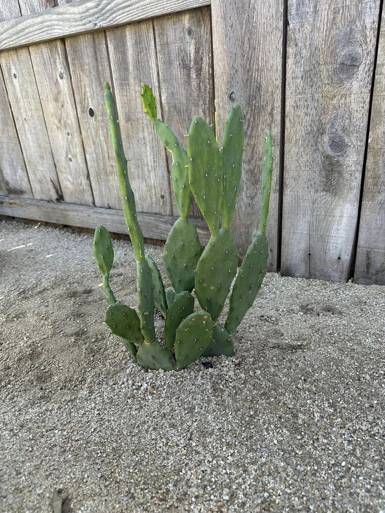 Exterior Design Landscape