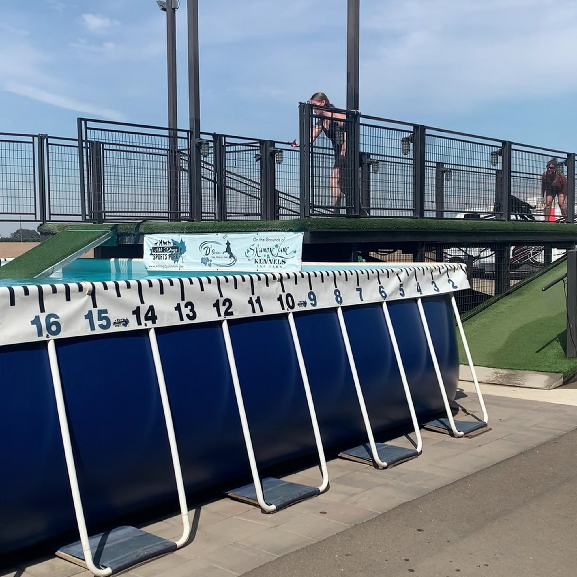 All Dogs Sports Park, LLC Lodi