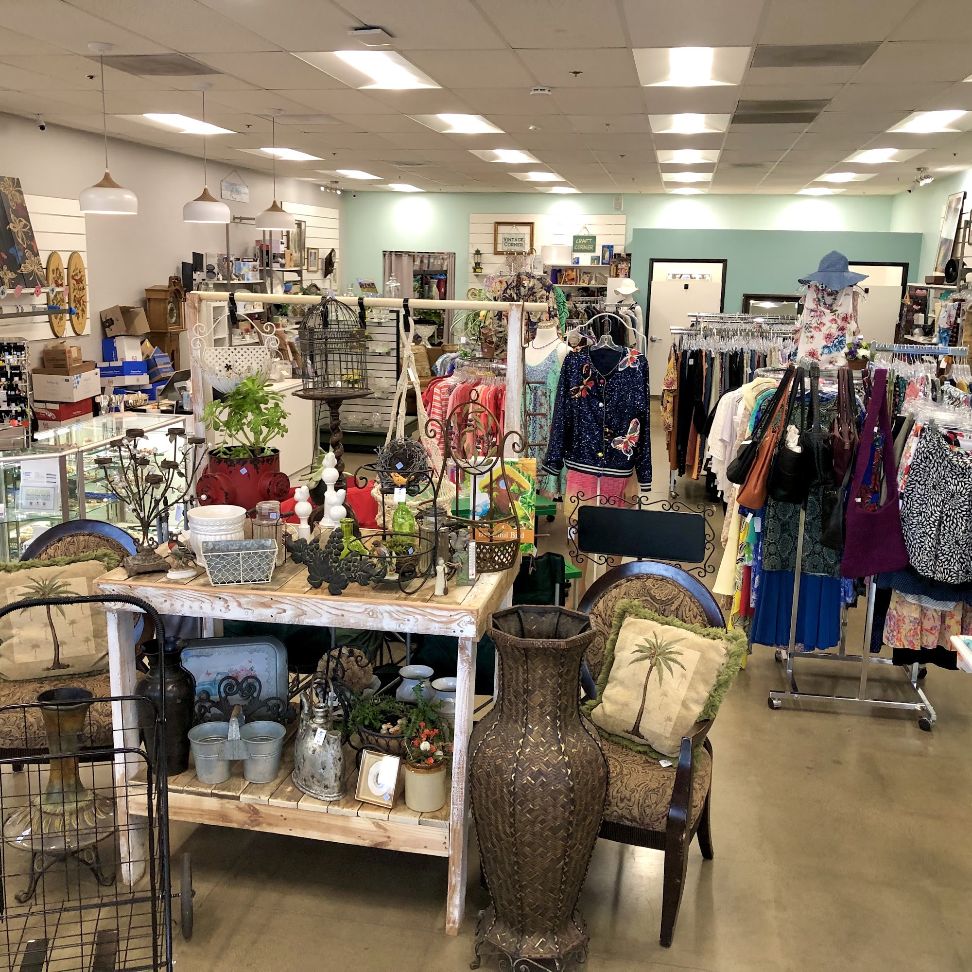 American Cancer Society Discovery Shop - Lodi CA Lodi