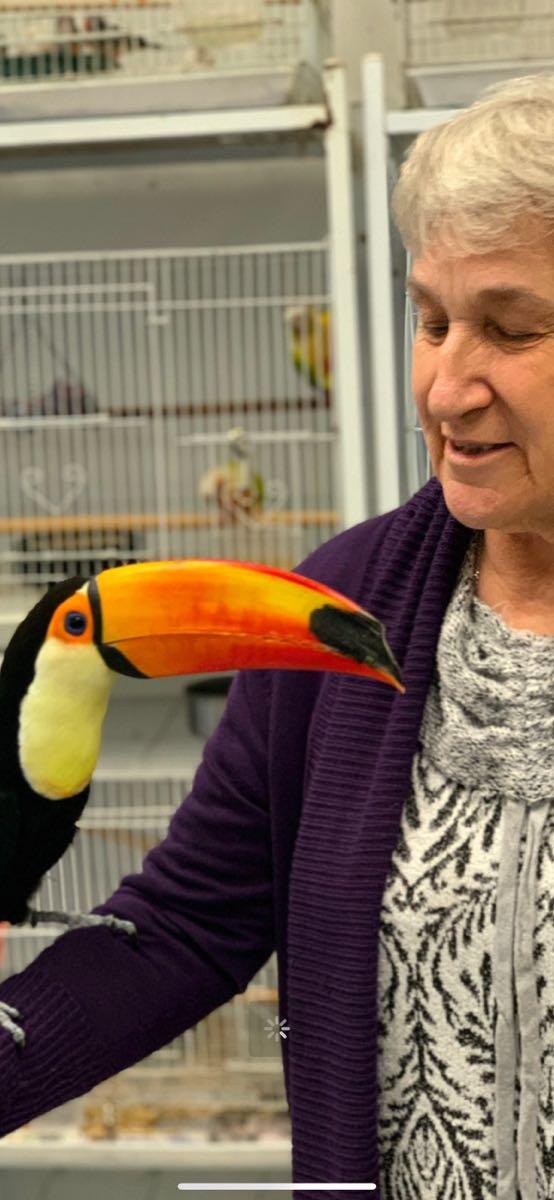 Agustin's Exotic Birds and Reptiles Lomita