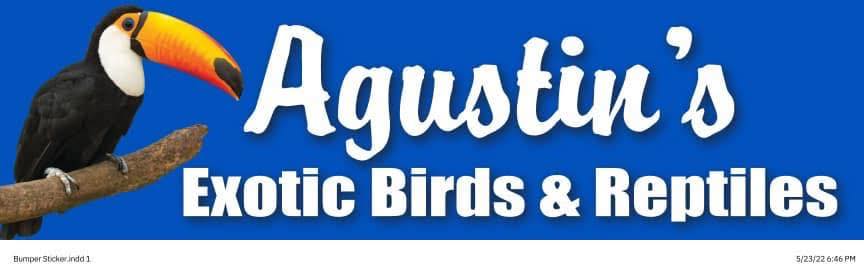 Agustin's Exotic Birds and Reptiles Lomita