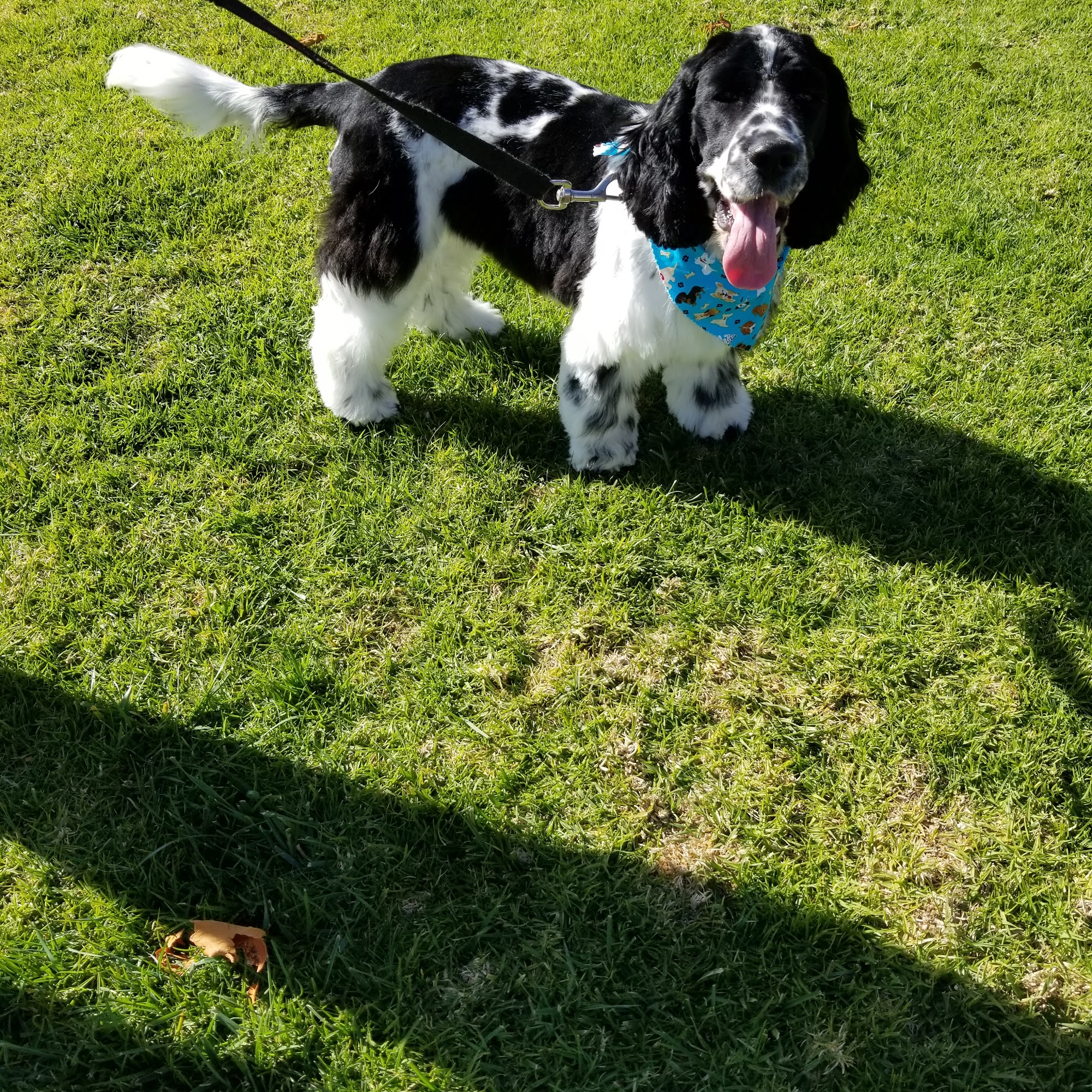 West Valley Veterinary Clinic Lompoc