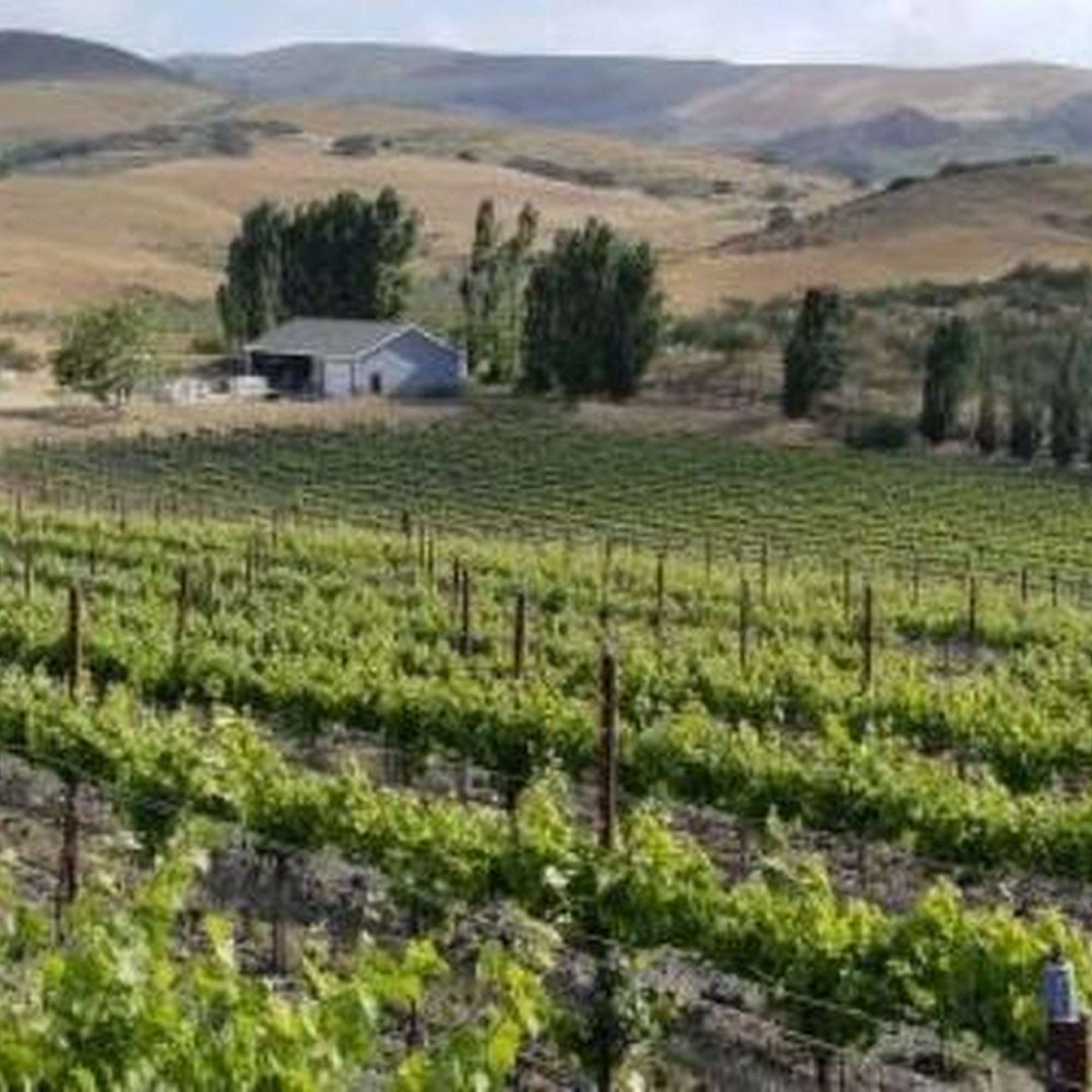 Kessler-Haak Wines Lompoc