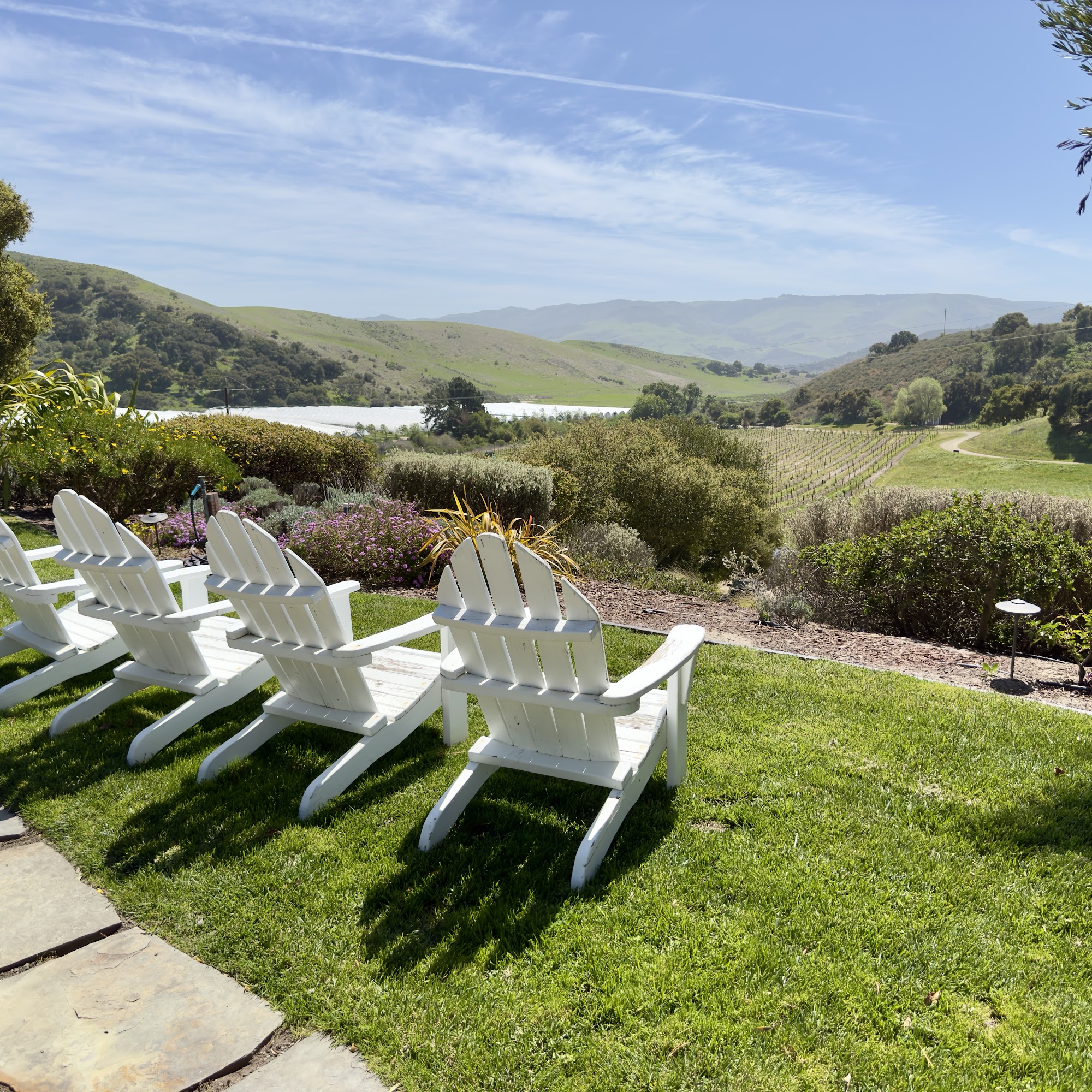 Strange Family Vineyards Lompoc