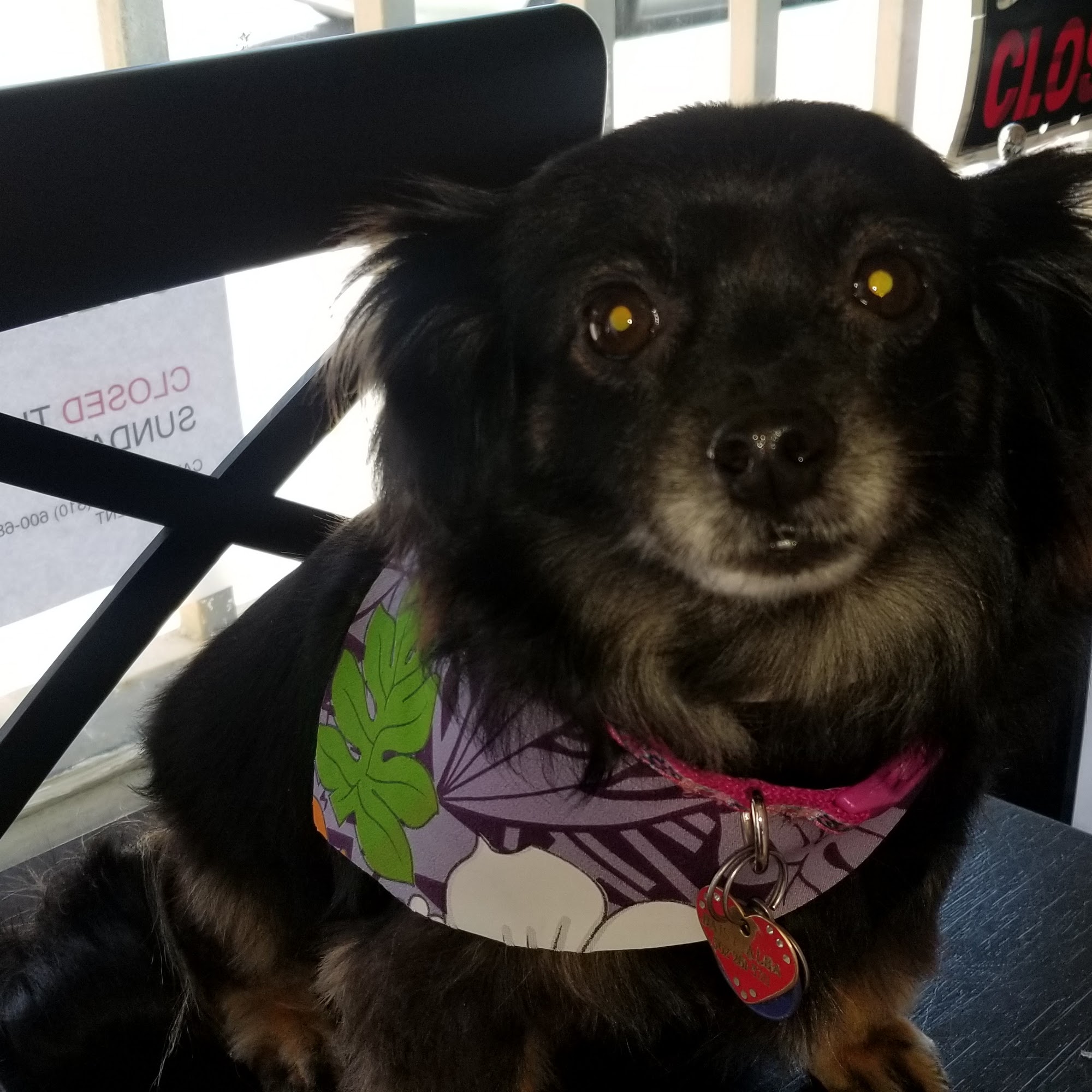 Dr. Grain Long Beach