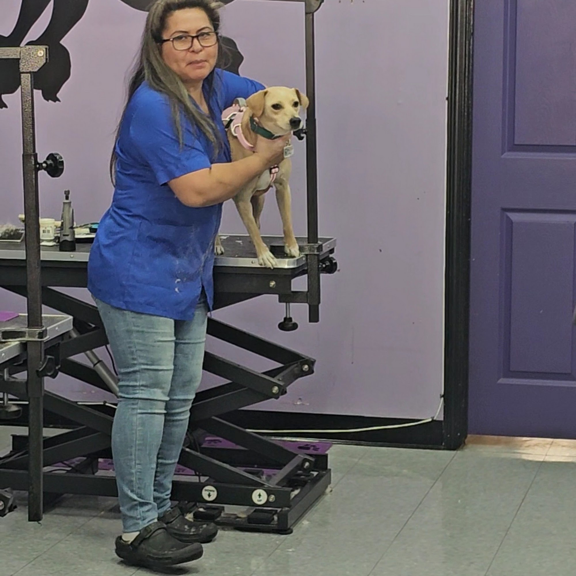 Wrigley's Pet Spaw Long Beach