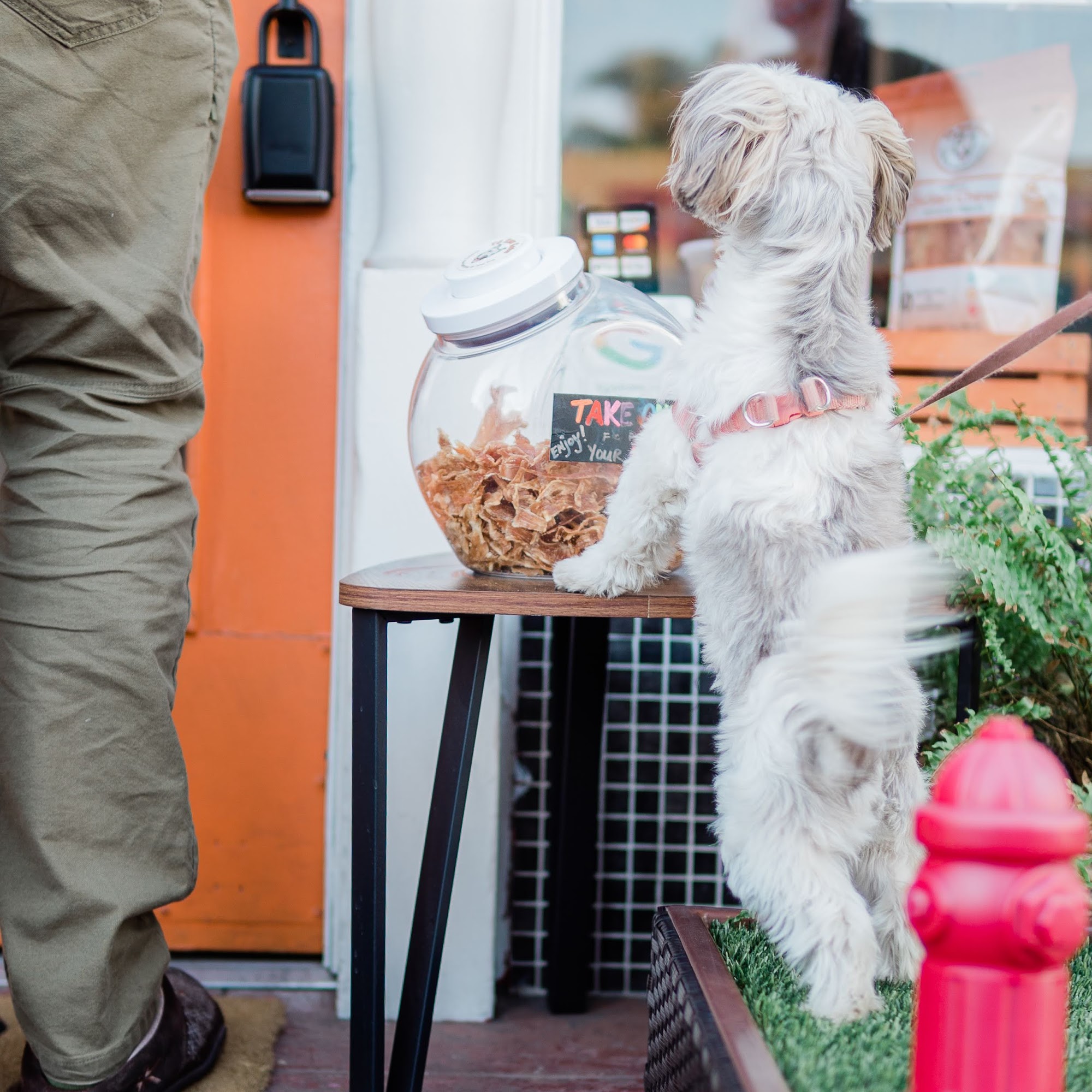 TC Raw Eats Long Beach