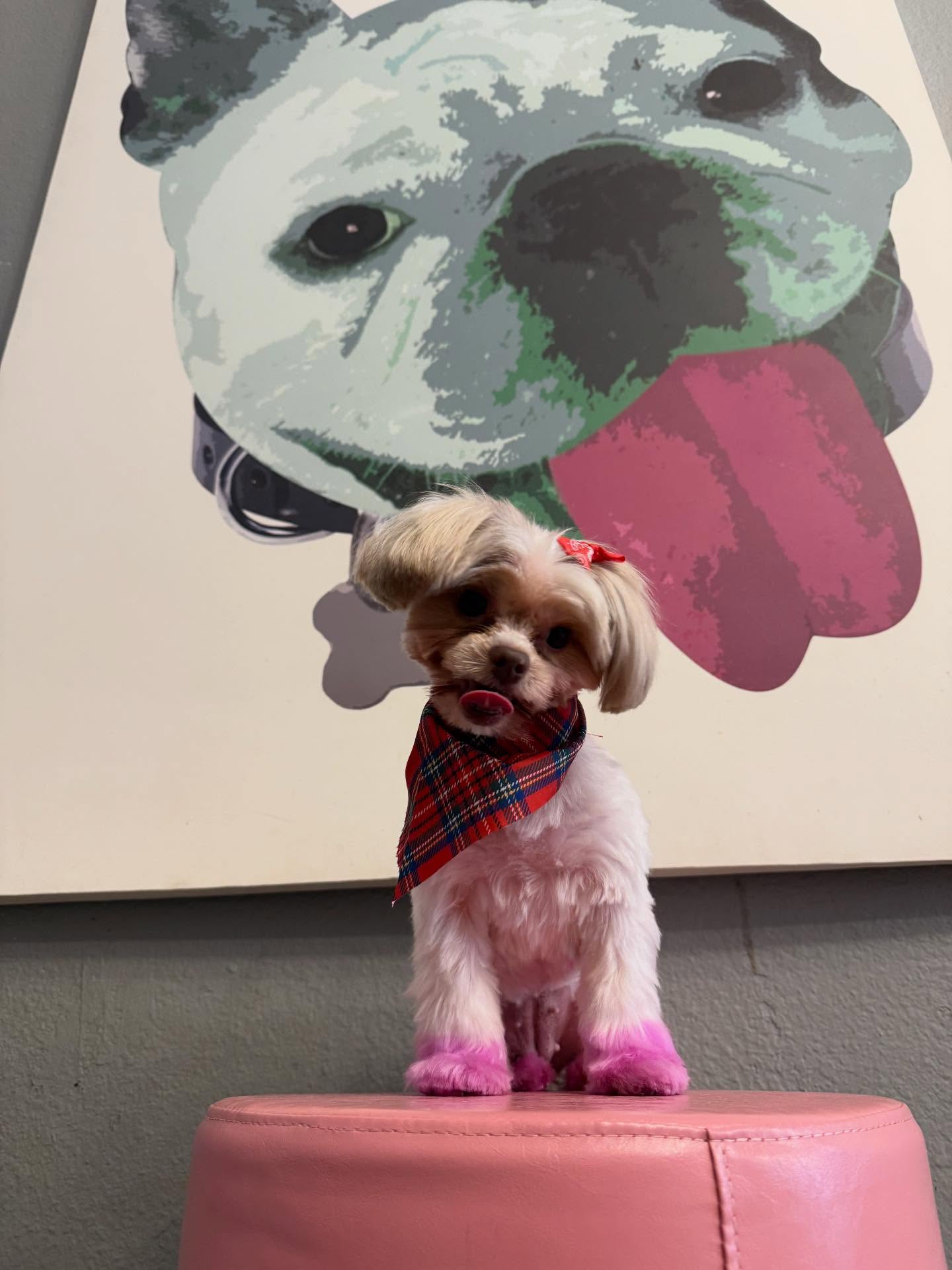 Bitches n Bubbles Long Beach