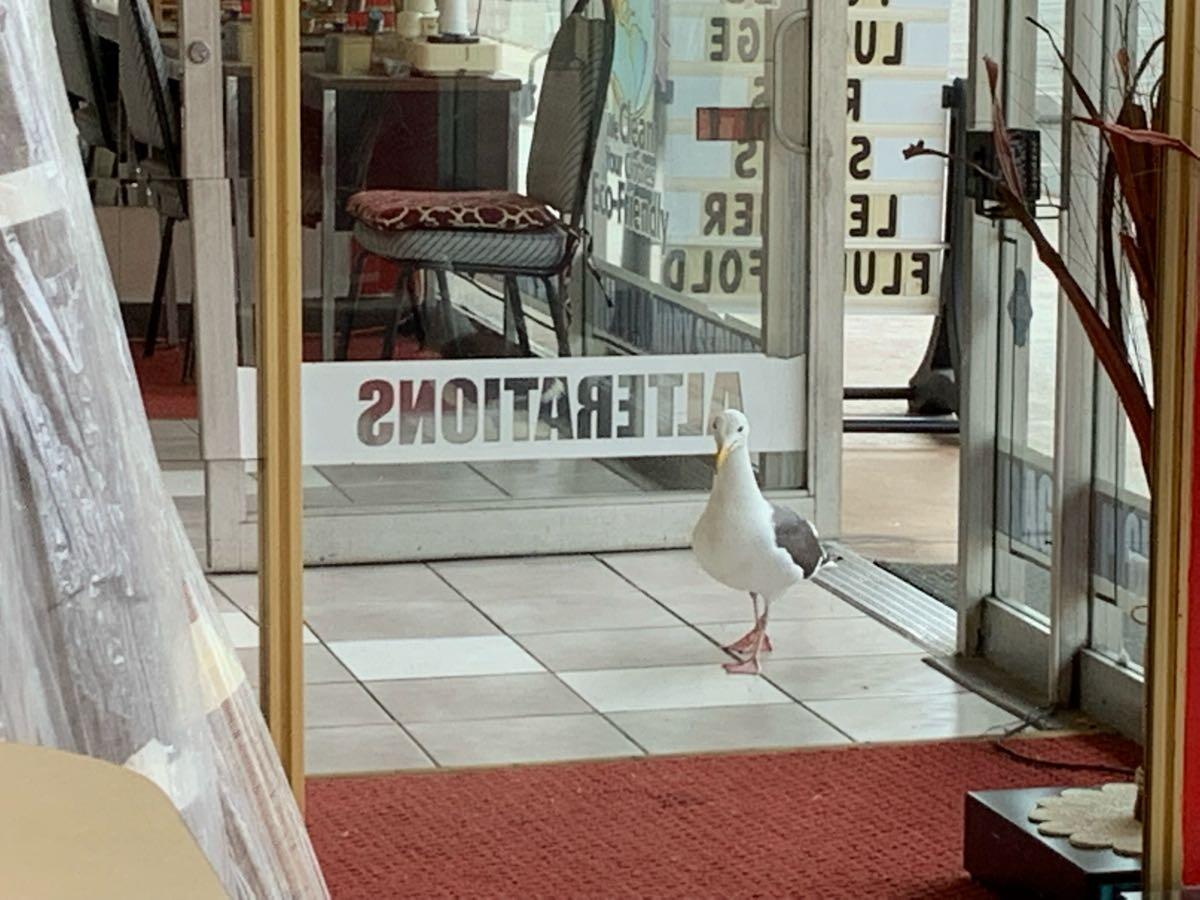Photo credit: nextdoor