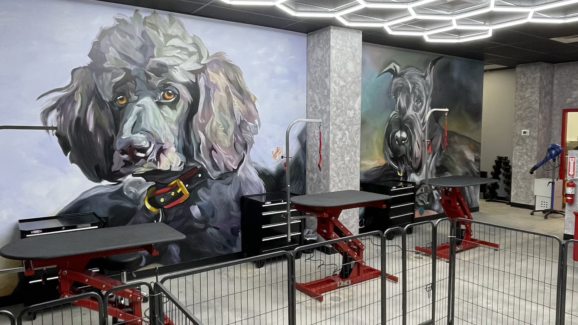 Long Beach Pet Grooming 480 Pine Ave, Long Beach California 90802