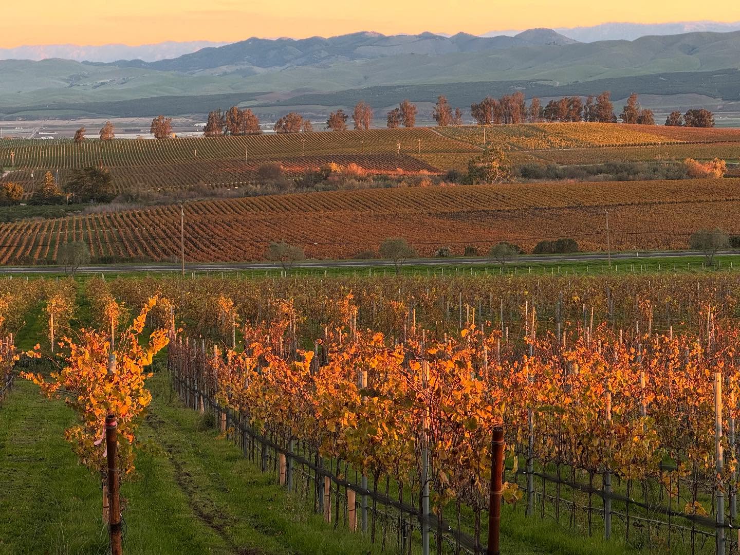 Lumen Wines Los Alamos