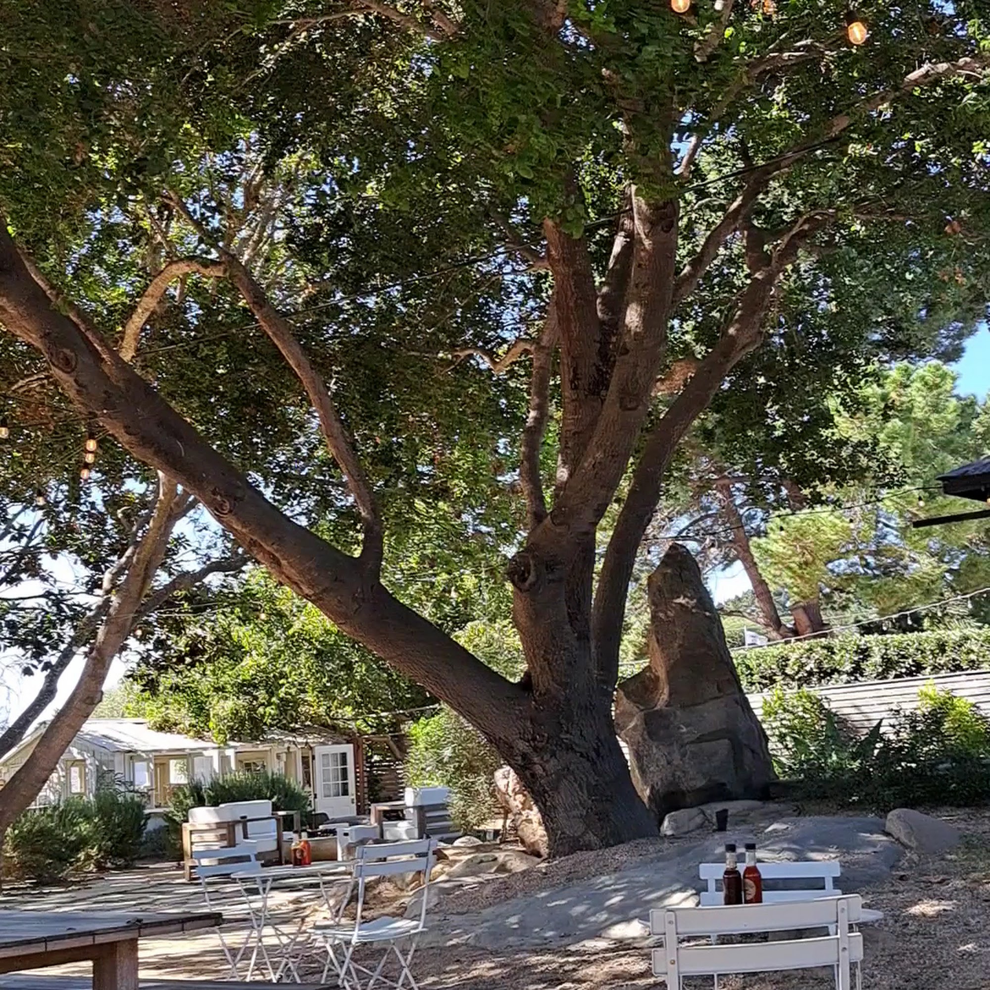 Bodega Los Alamos Los Alamos