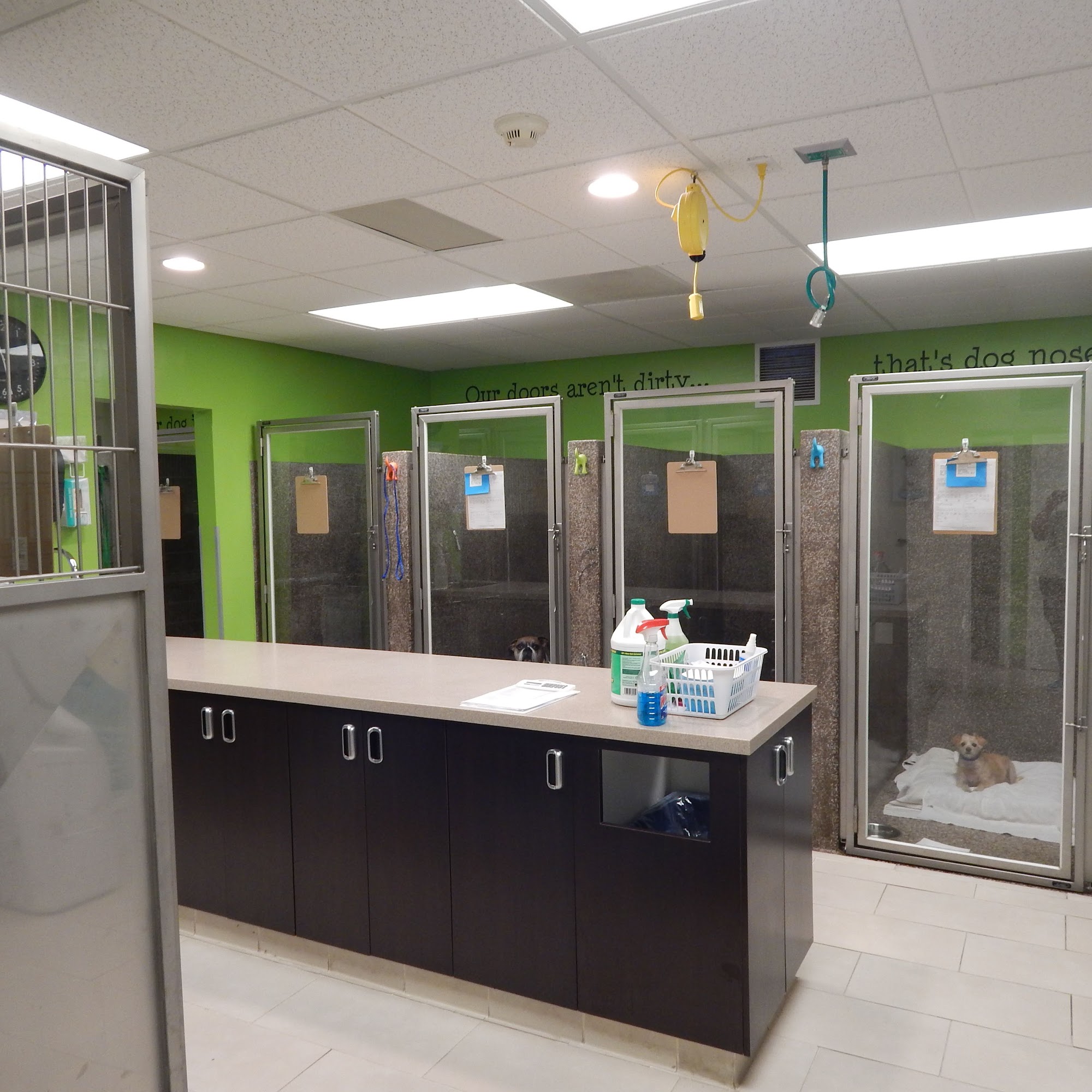 Veterinary Medical Center Los Angeles