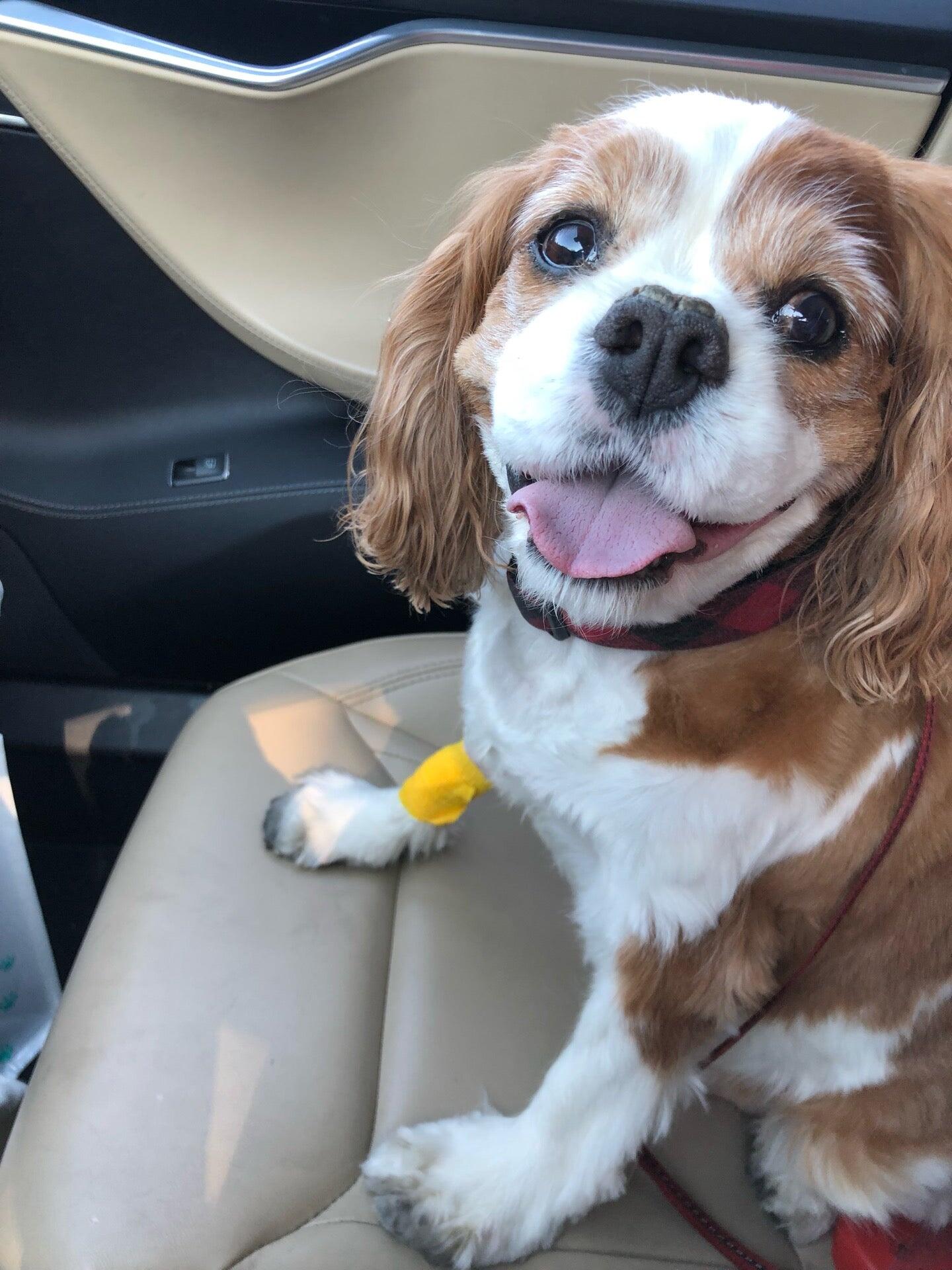 Photo credit: nextdoor