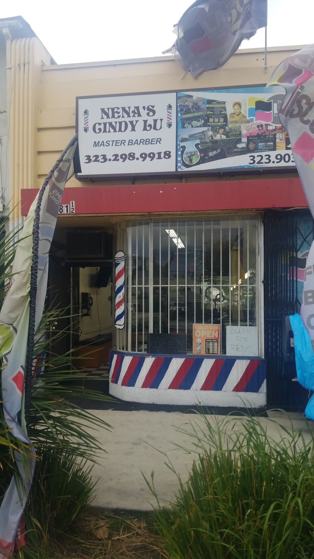Nena´s Cindy Lu Master Barber