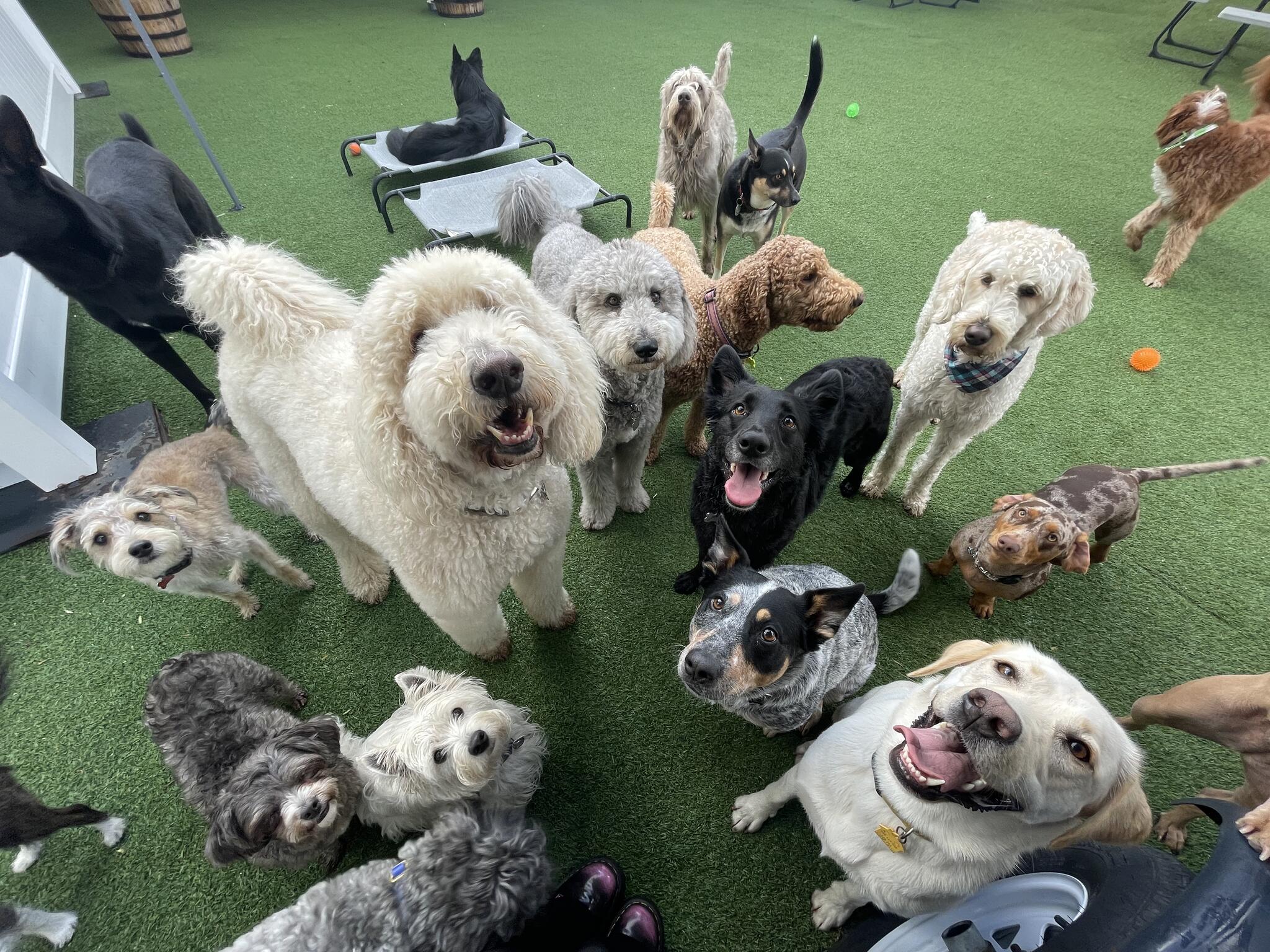 Photo credit: nextdoor