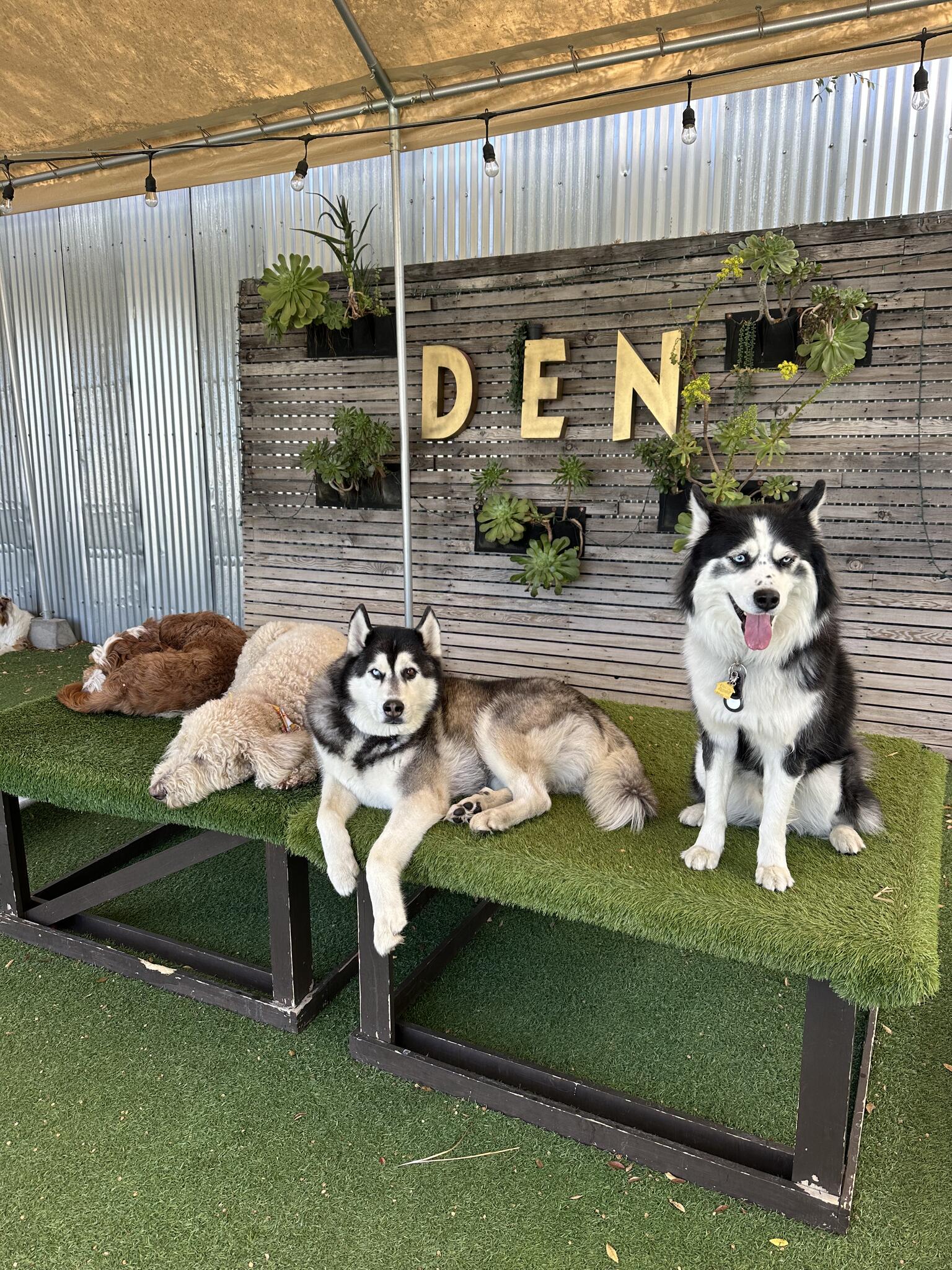 Photo credit: nextdoor