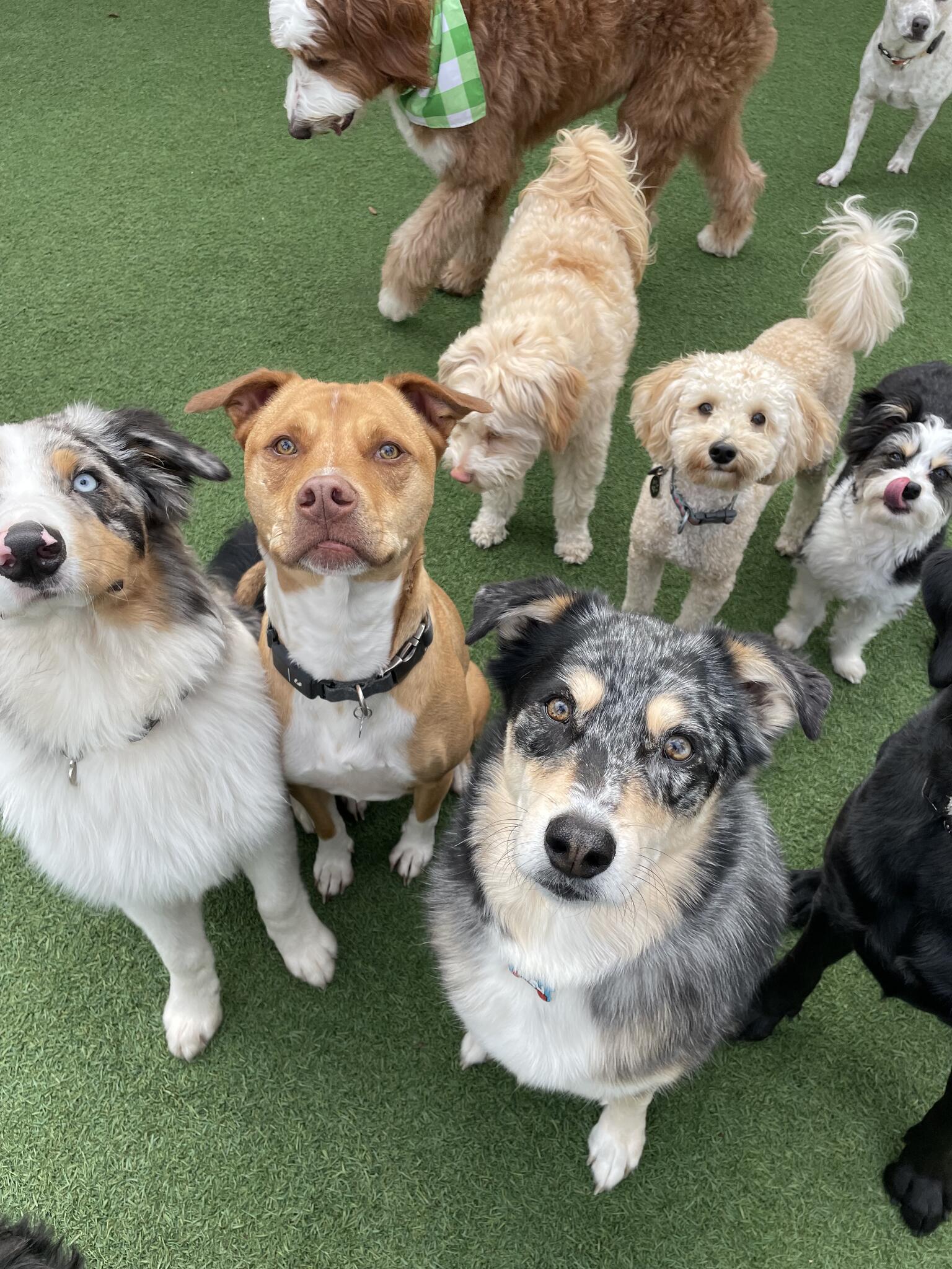 Photo credit: nextdoor