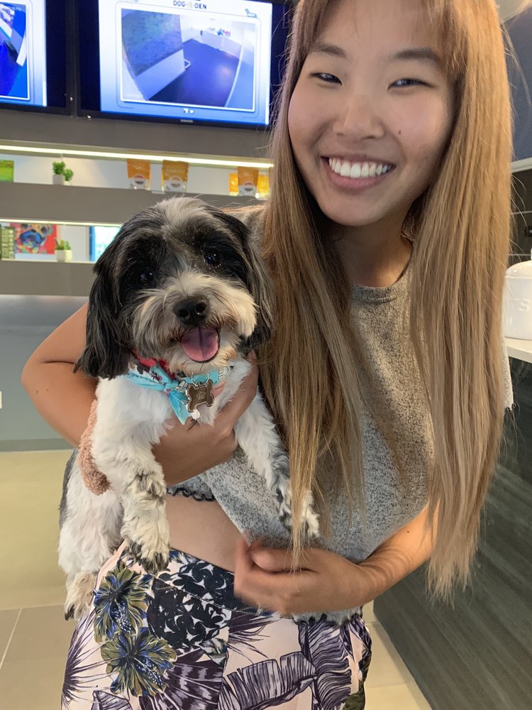 Dog-E-Den Los Angeles