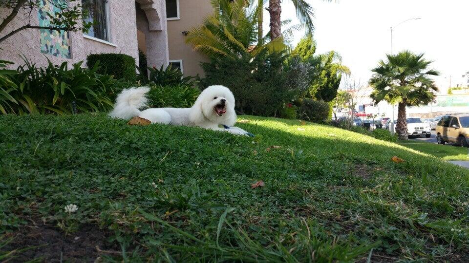 Photo credit: nextdoor