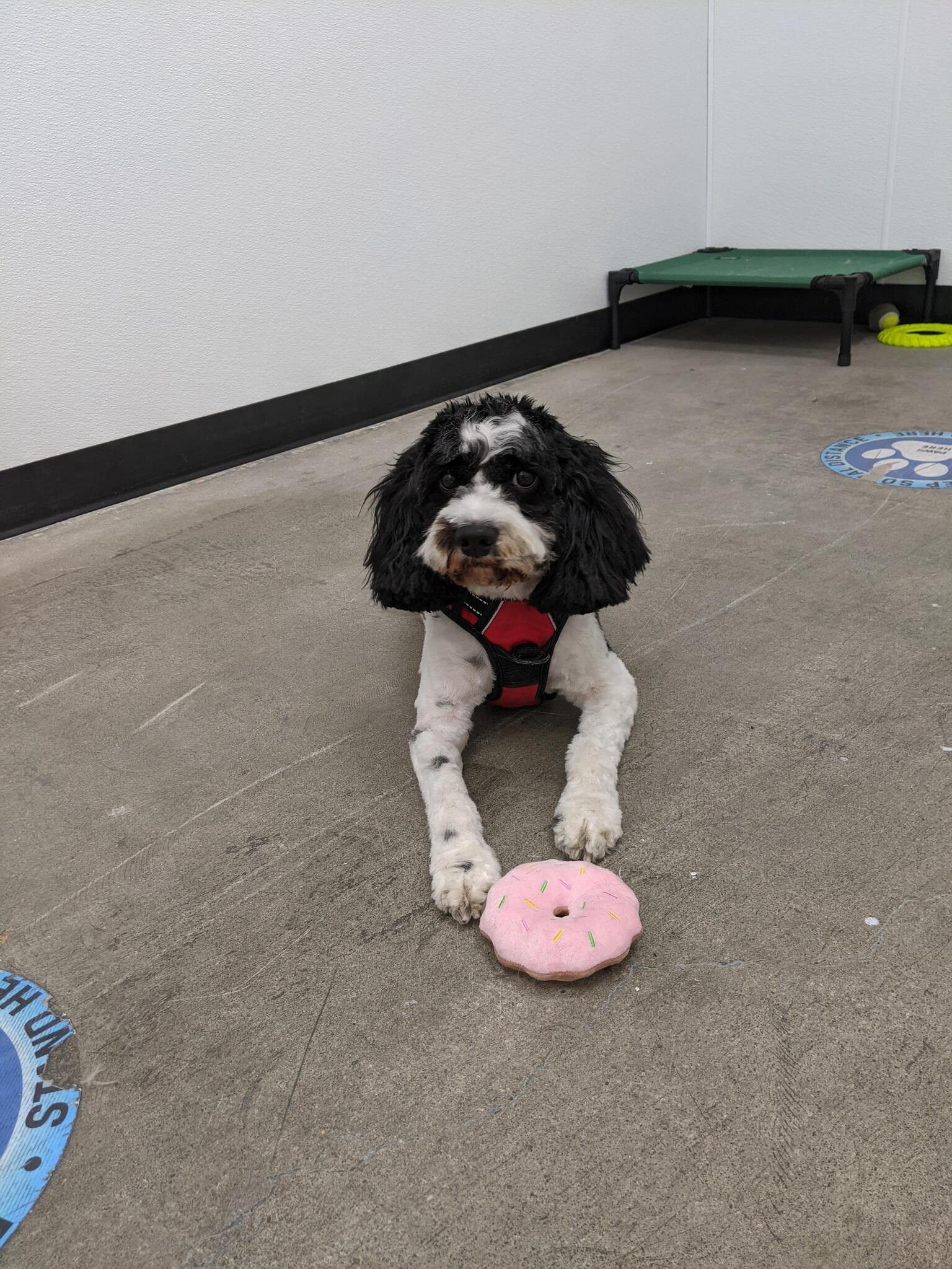 Photo credit: nextdoor
