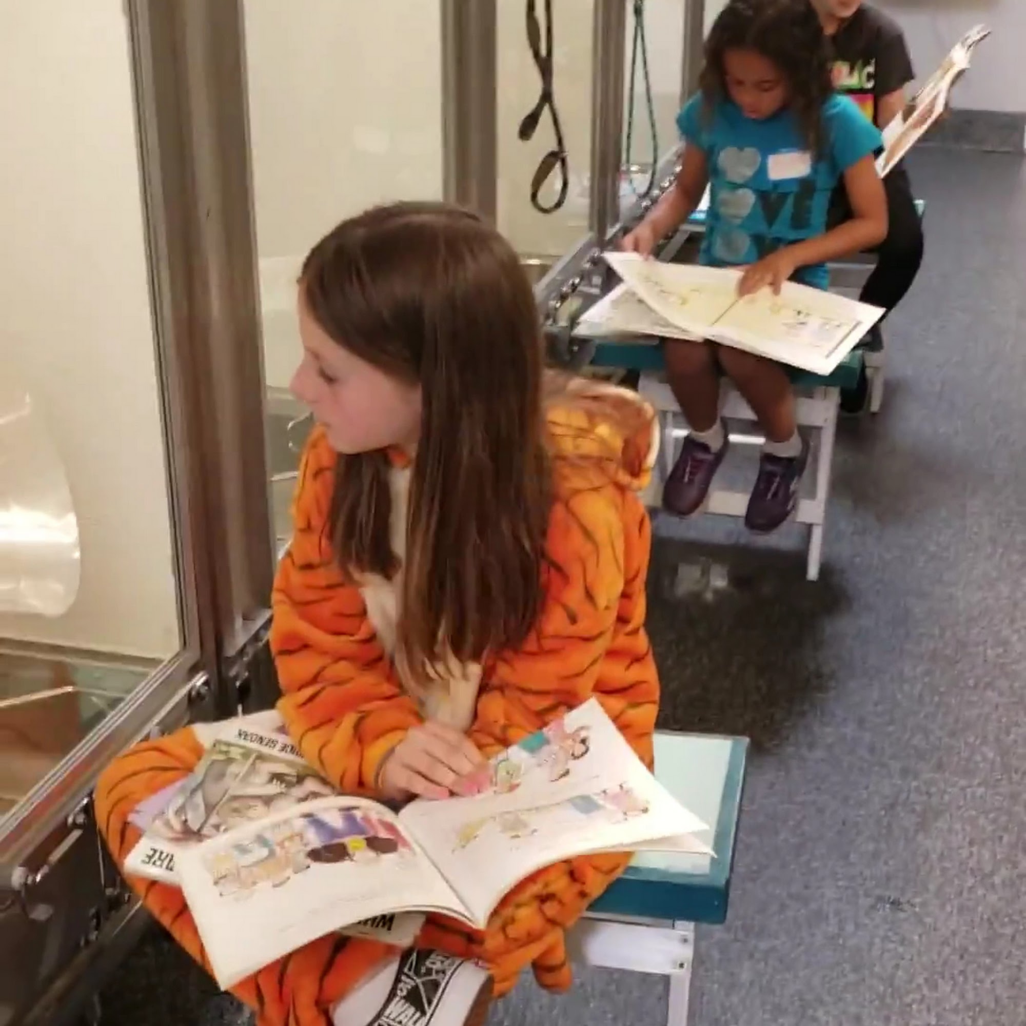 Wags & Walks Adoption Center Los Angeles