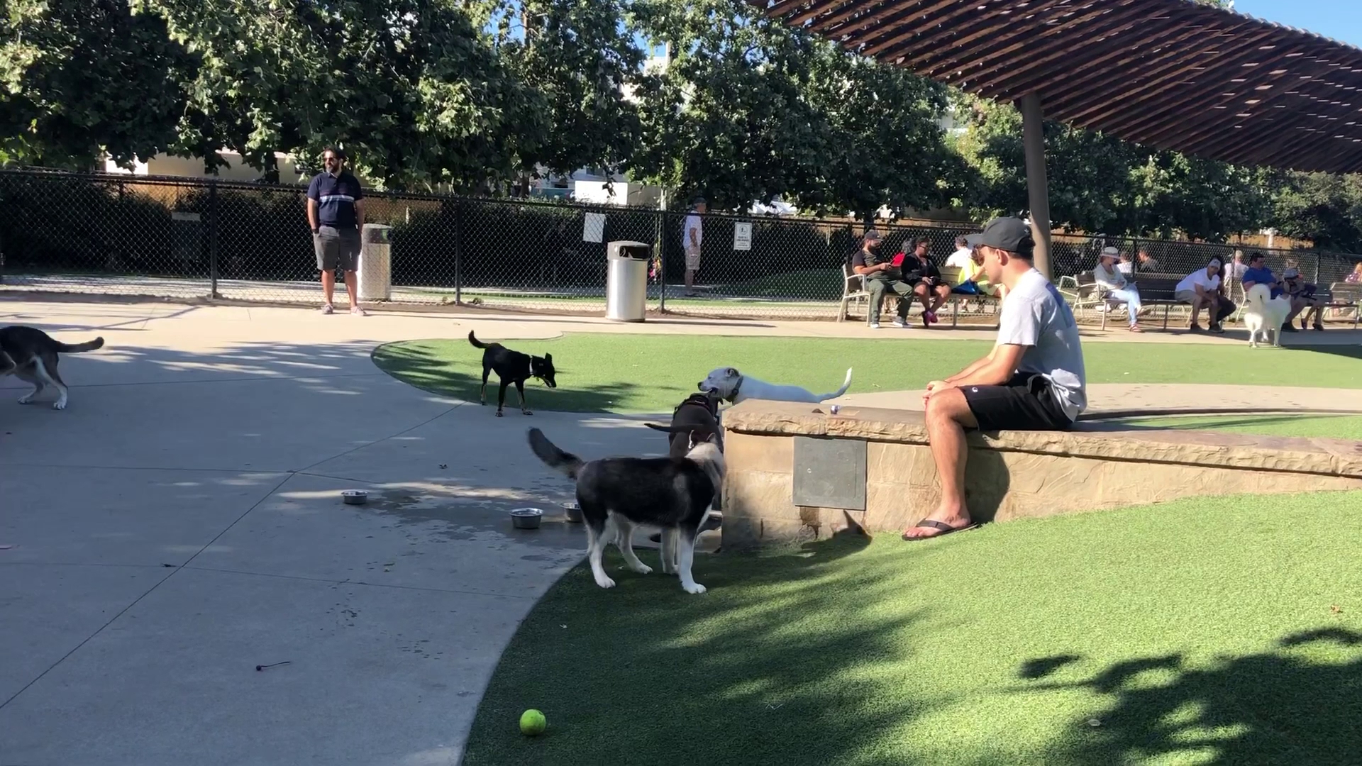 Bluff Creek Dog Park Los Angeles
