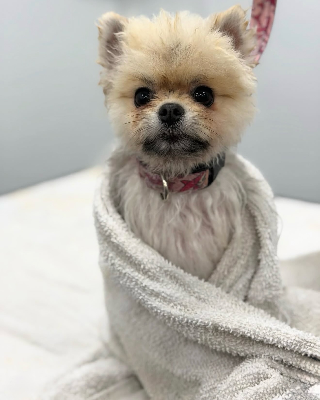 Bowie Barker Los Angeles