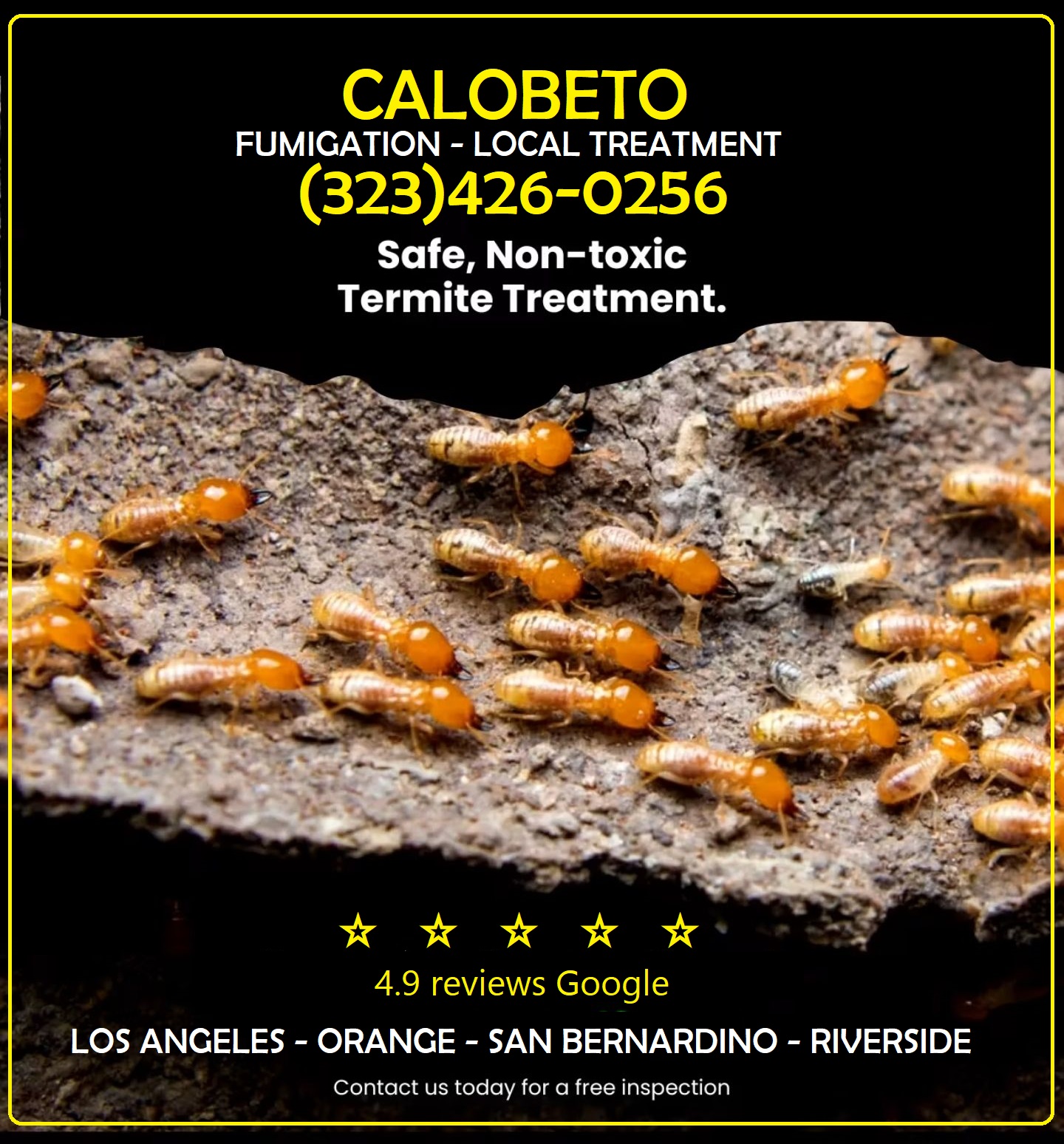 Calobeto Fumigaciones