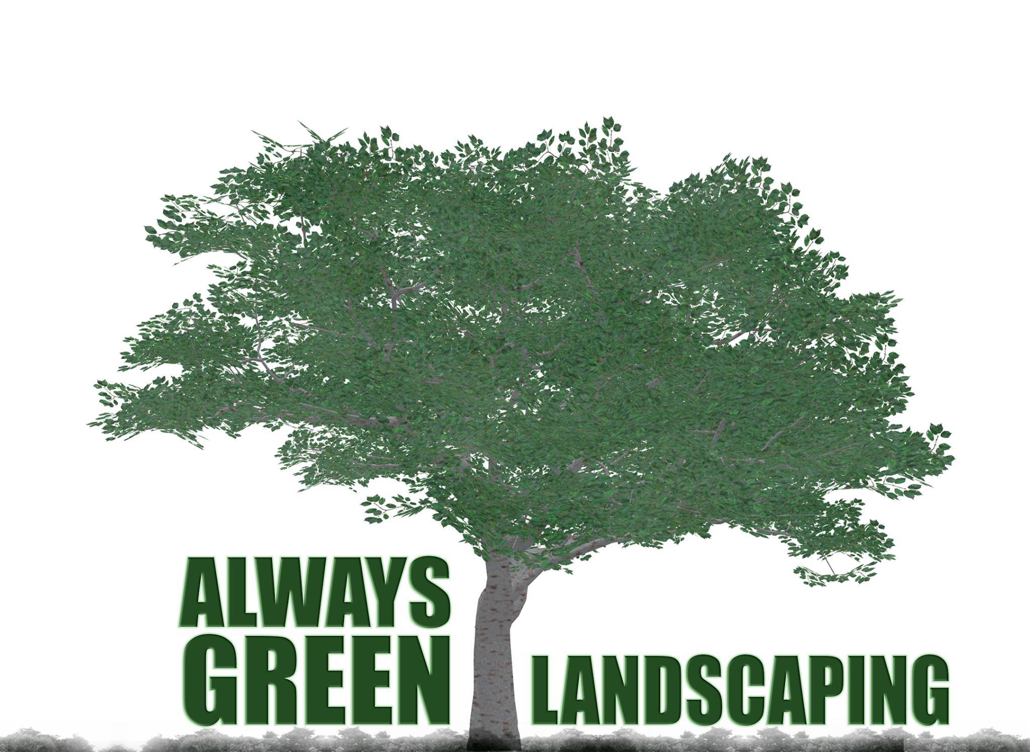 Always Green Gardening & Landscaping