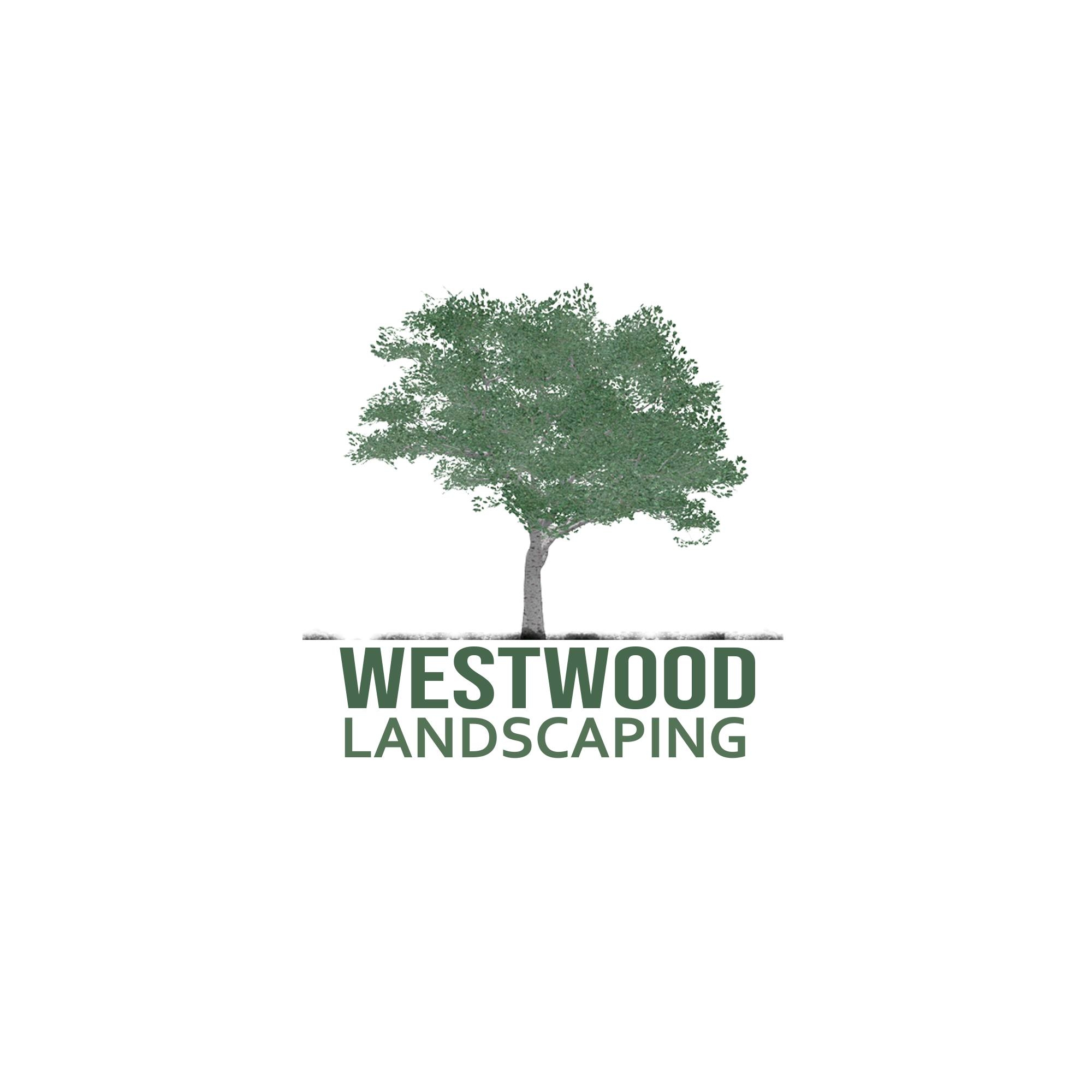 Always Green Gardening & Landscaping