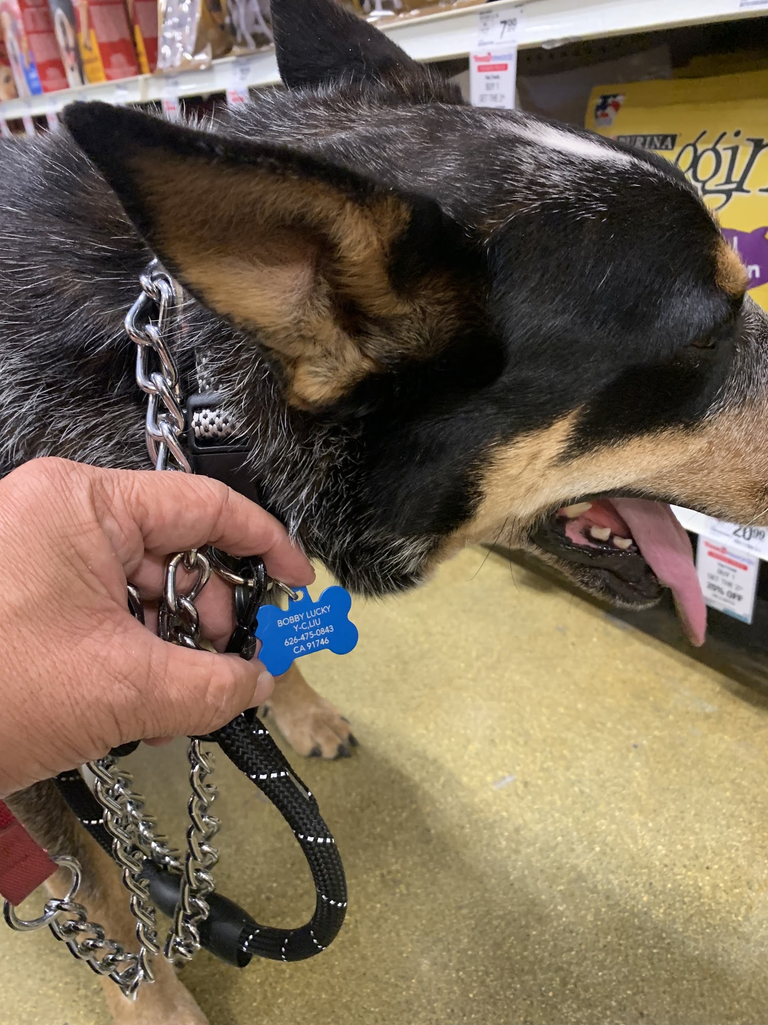 BeWell Animal Hospital Los Angeles