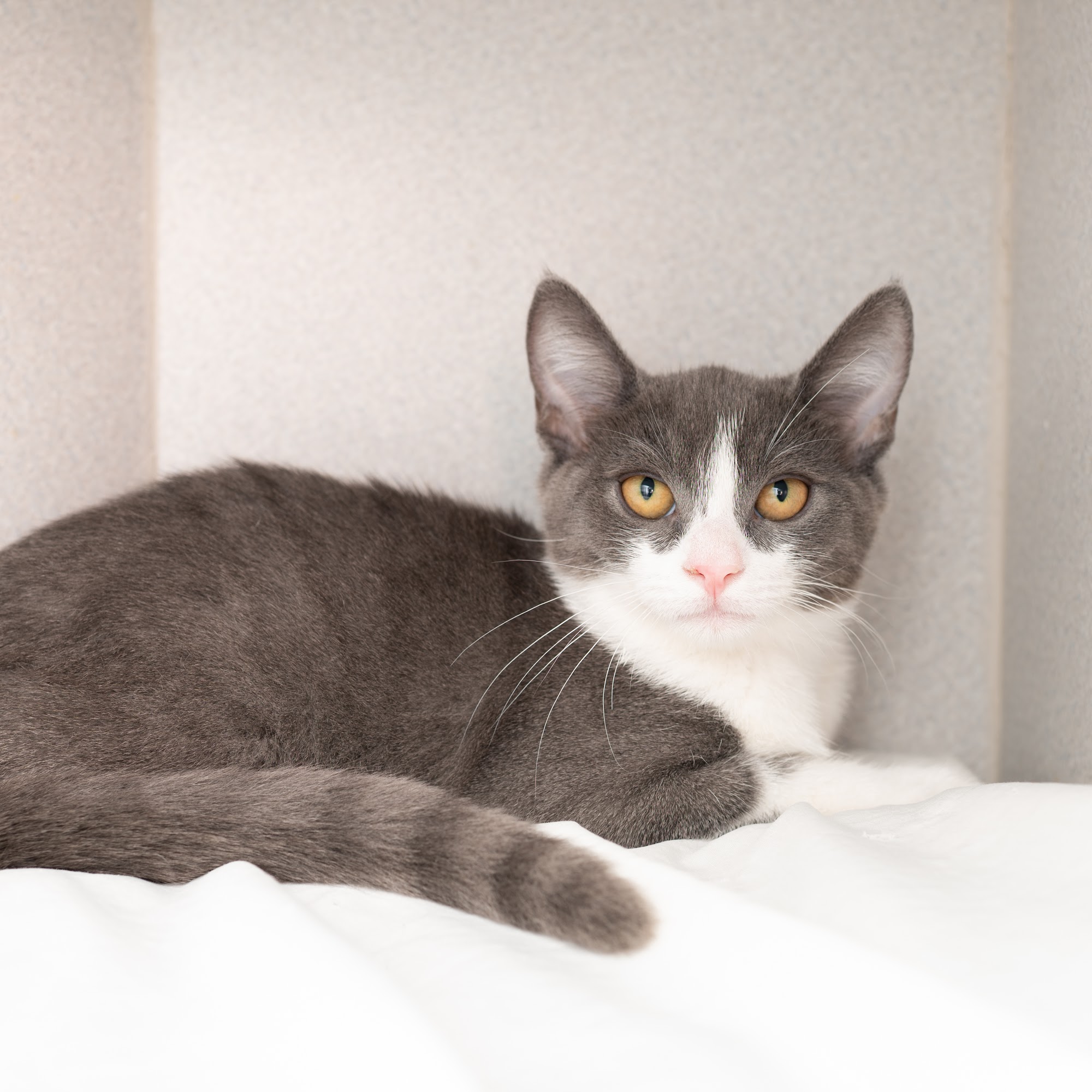 Lange Foundation - *BY APPOINTMENT ONLY* Los Angeles