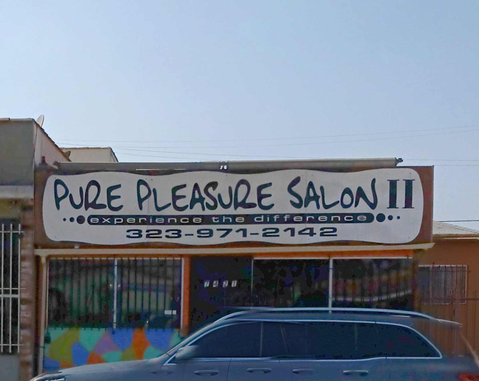 Pure Pleasure Salon II