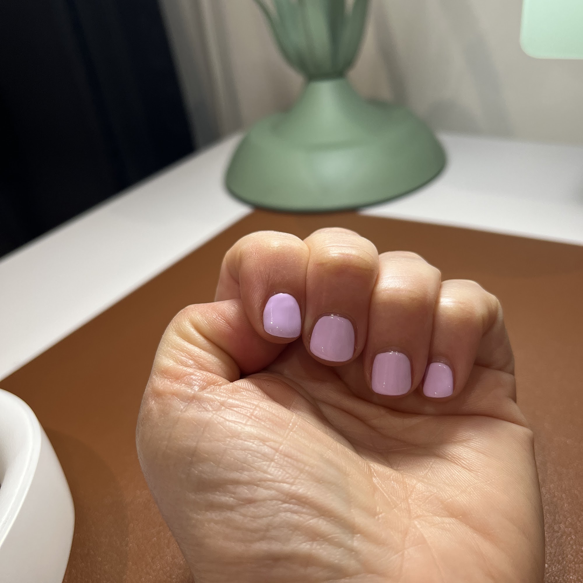 Haven Los Feliz 1937 1/2 Hillhurst Ave, Los Angeles California 90027