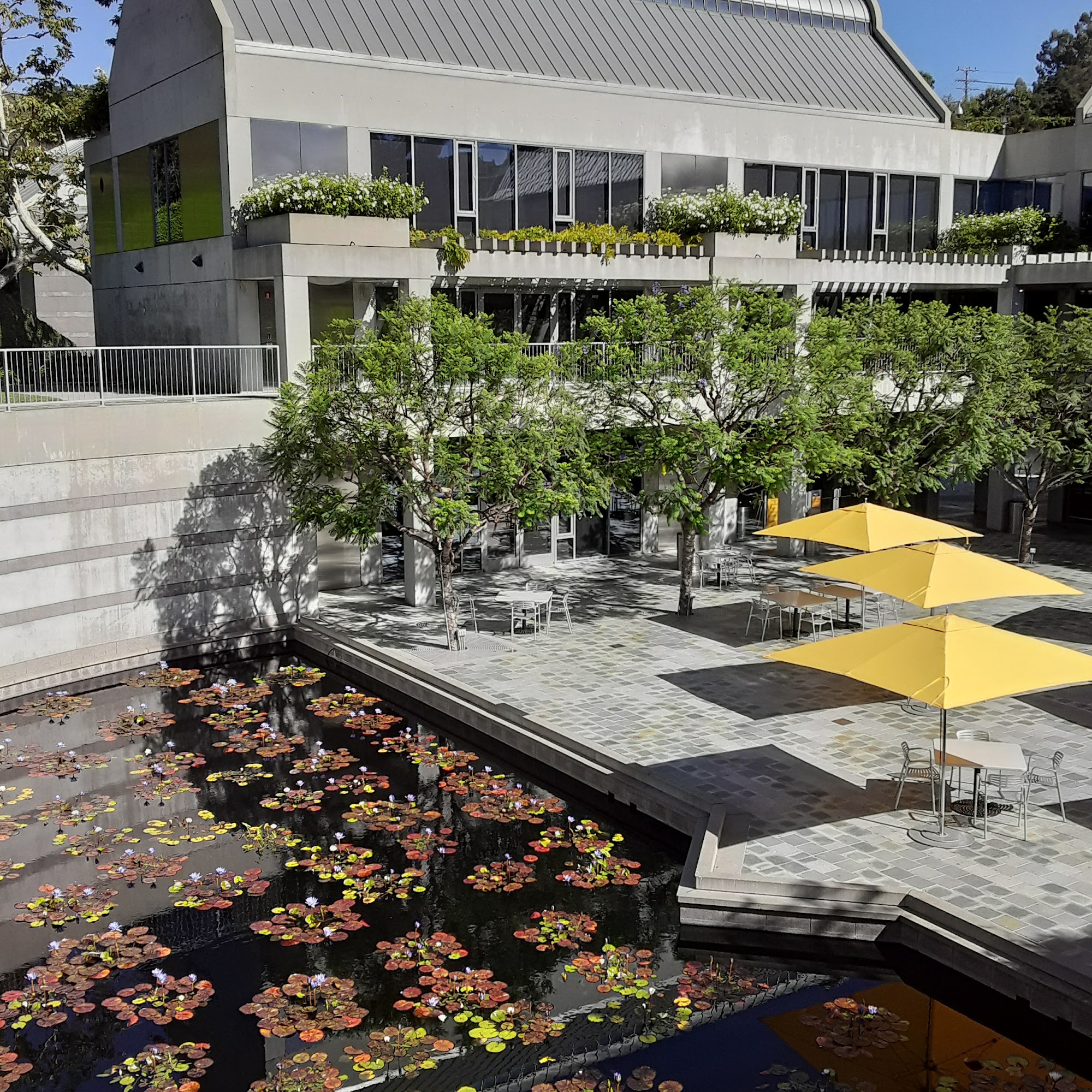 Audrey's Museum Store