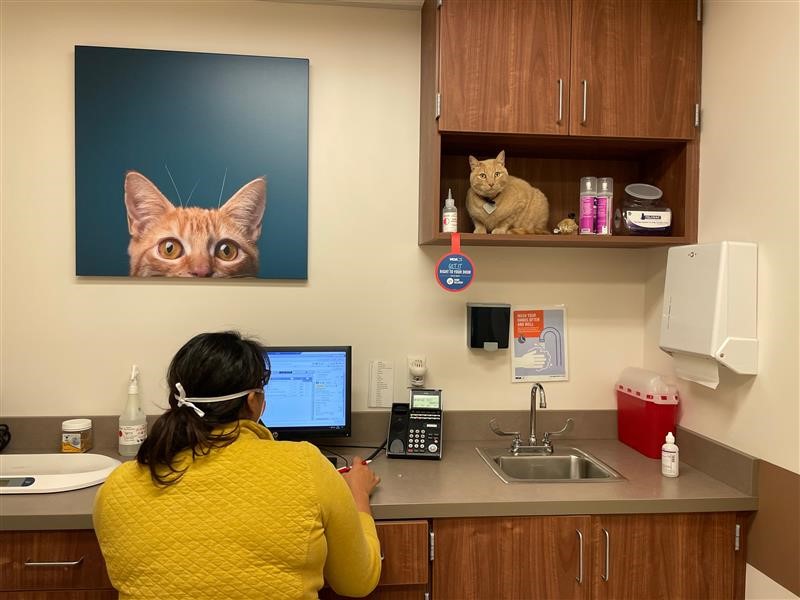 VCA Animal Hospital of Los Gatos Los Gatos