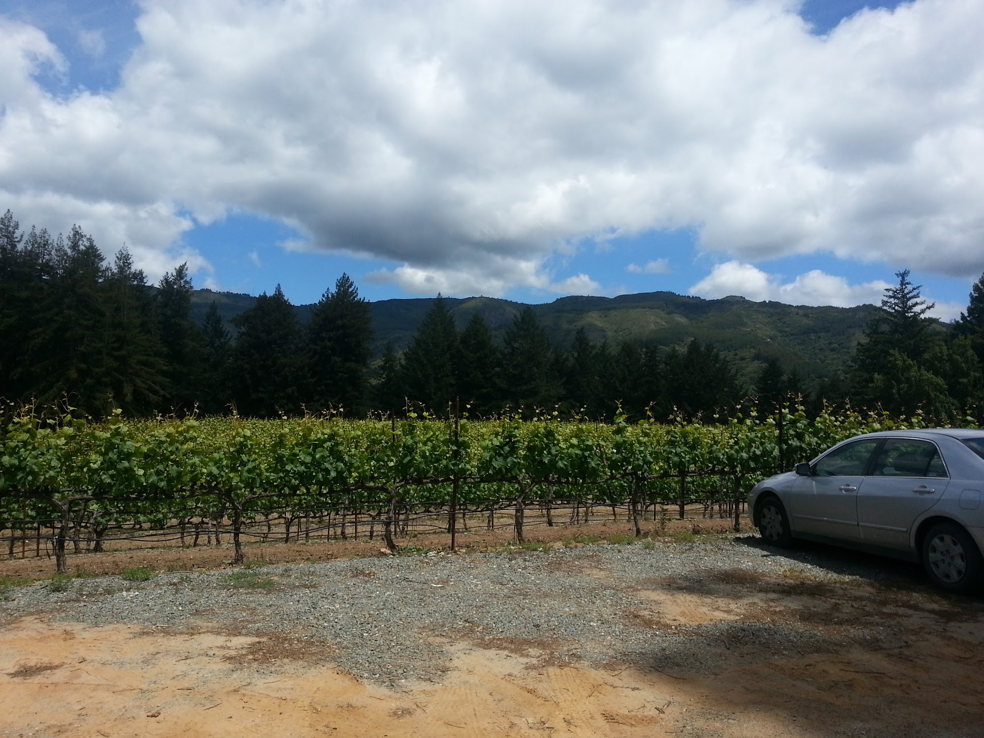 Wrights Station Vineyard & Winery Menu