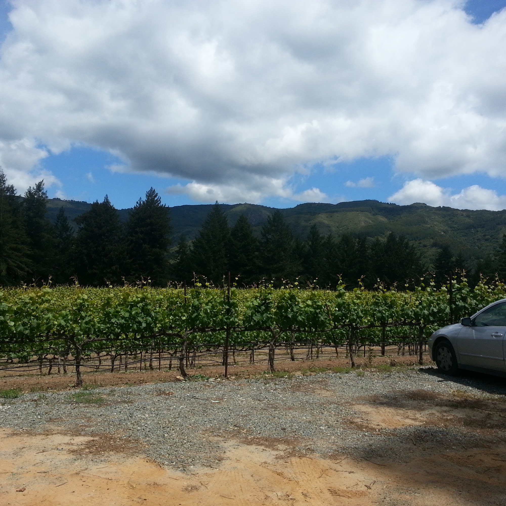 Wrights Station Vineyard & Winery Los Gatos