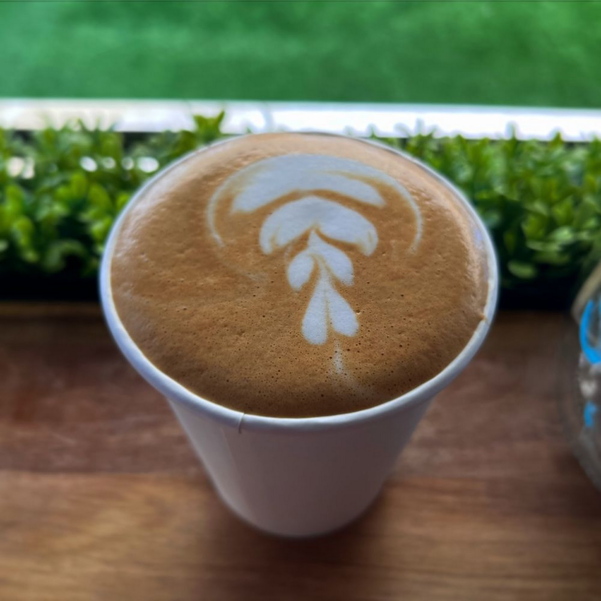 Kenz Coffee Bar @ Bamrec Los Gatos